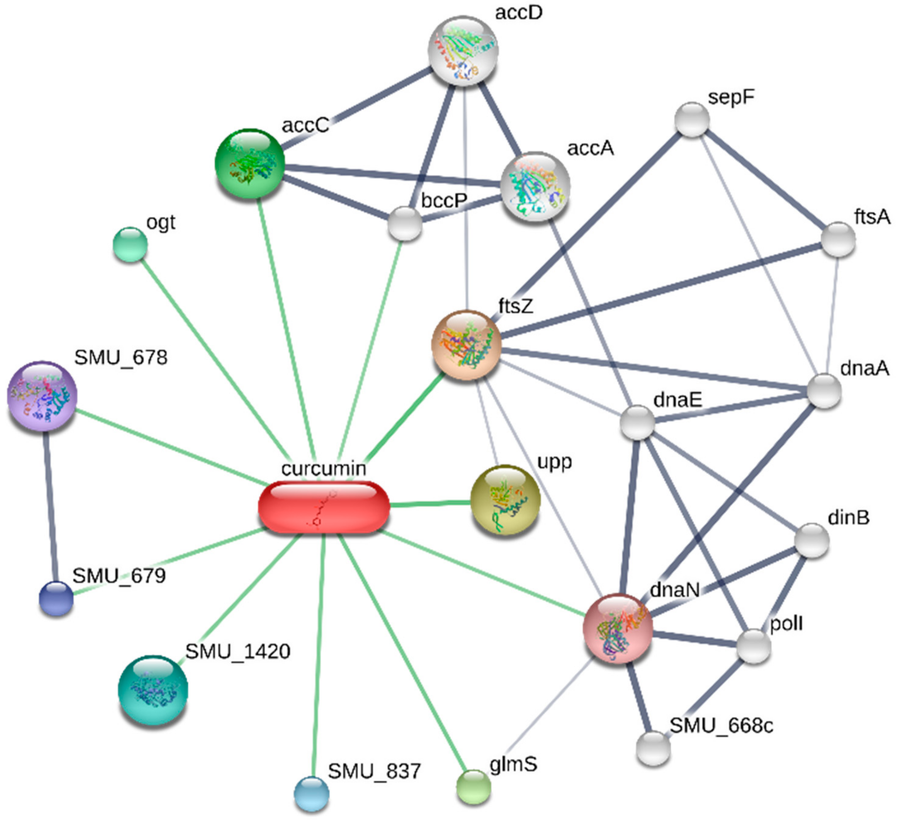 Dentistry 12 00153 g005