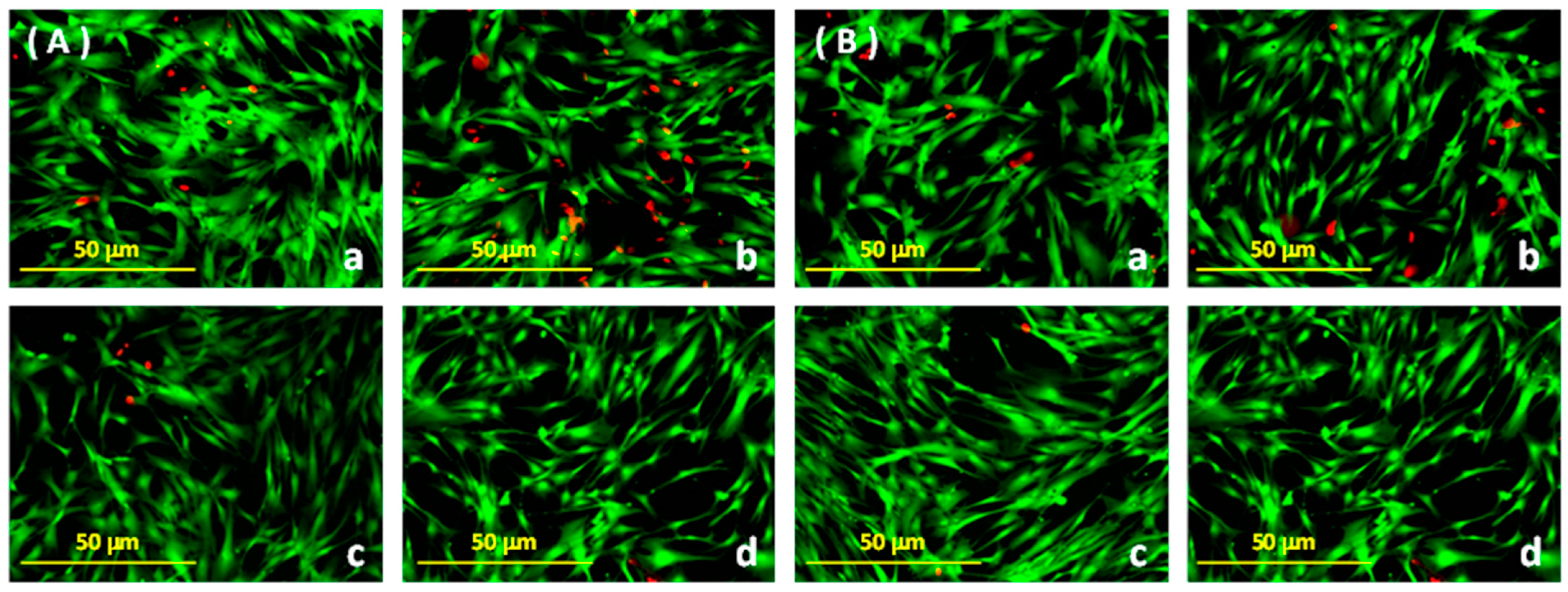 Dentistry 12 00189 g004