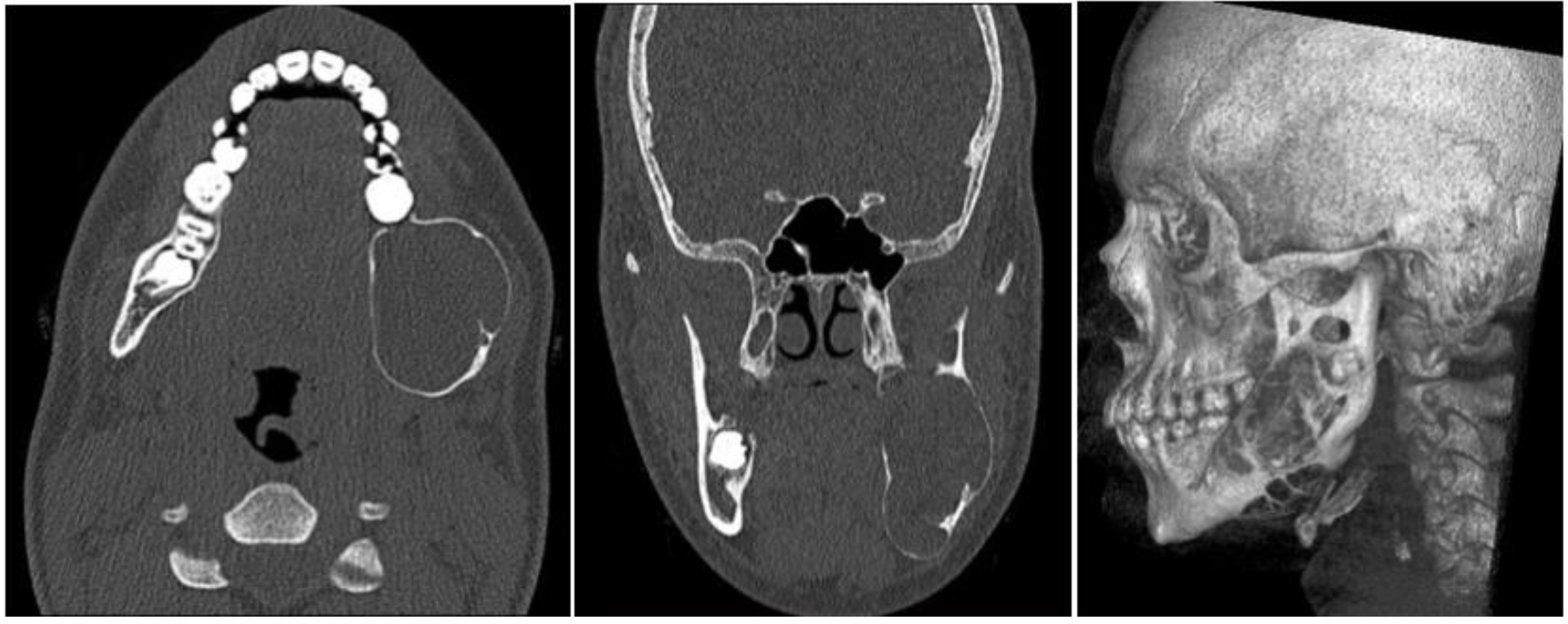 Dentistry 12 00192 g002