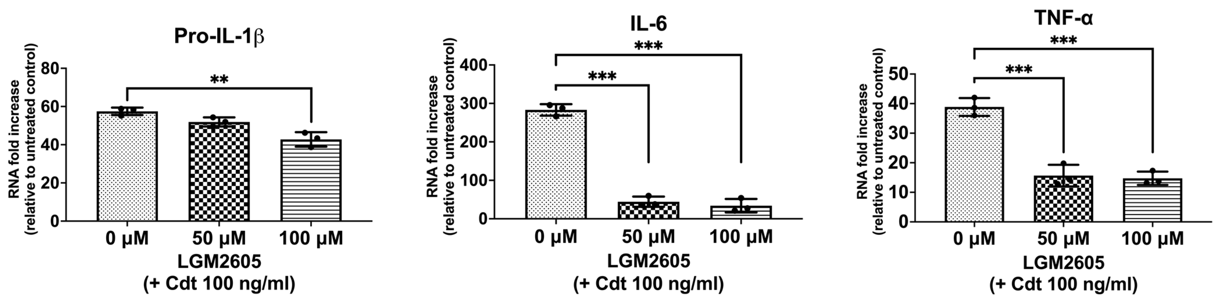 Dentistry 12 00195 g001