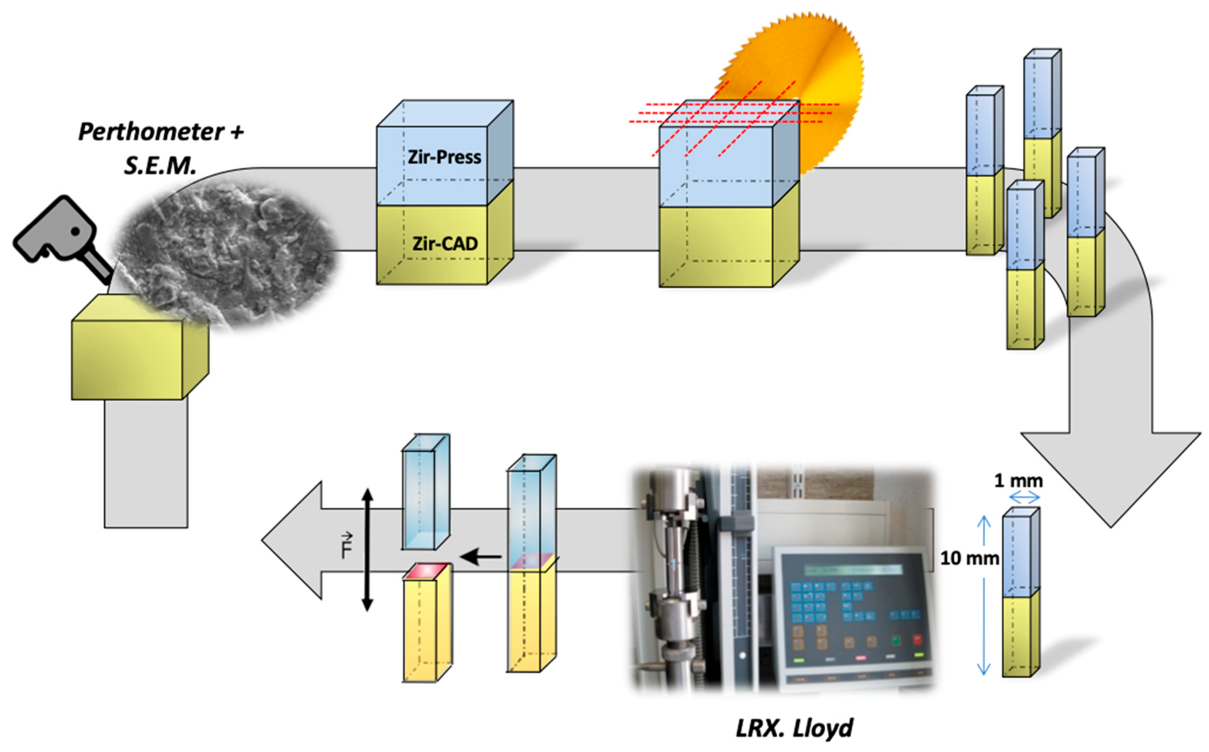 Dentistry 12 00219 g001 Dentistry 12 00219 g001