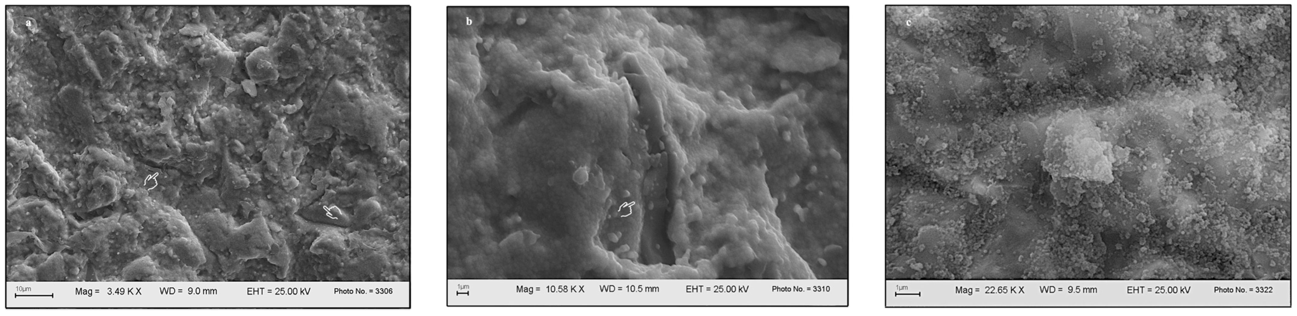 Dentistry 12 00219 g003 Dentistry 12 00219 g003