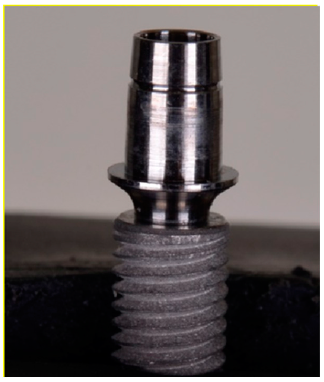 Dentistry 12 00226 g001