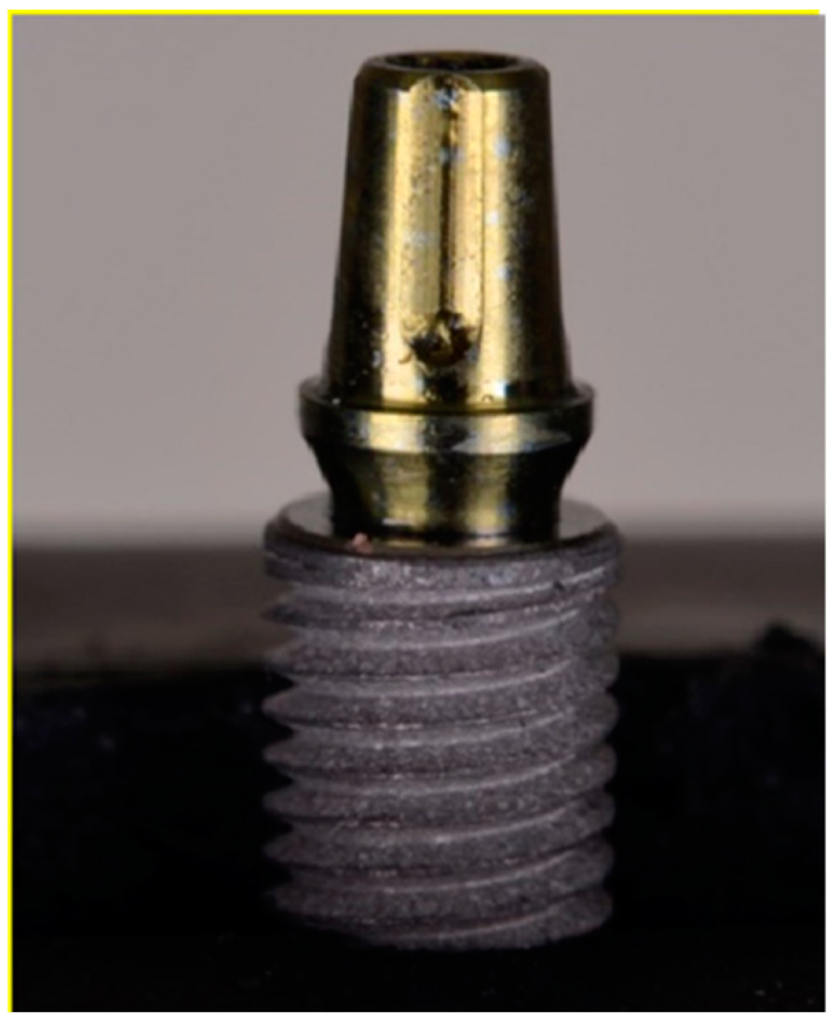 Dentistry 12 00226 g002