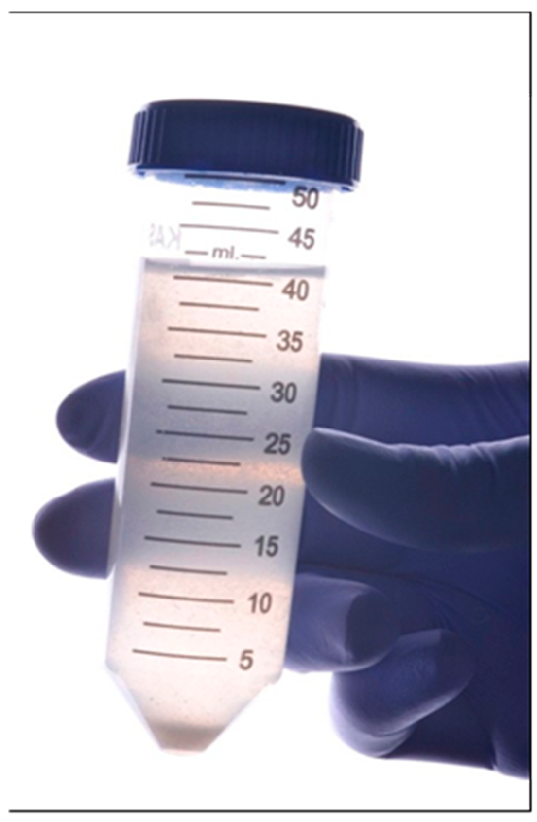 Dentistry 12 00226 g006