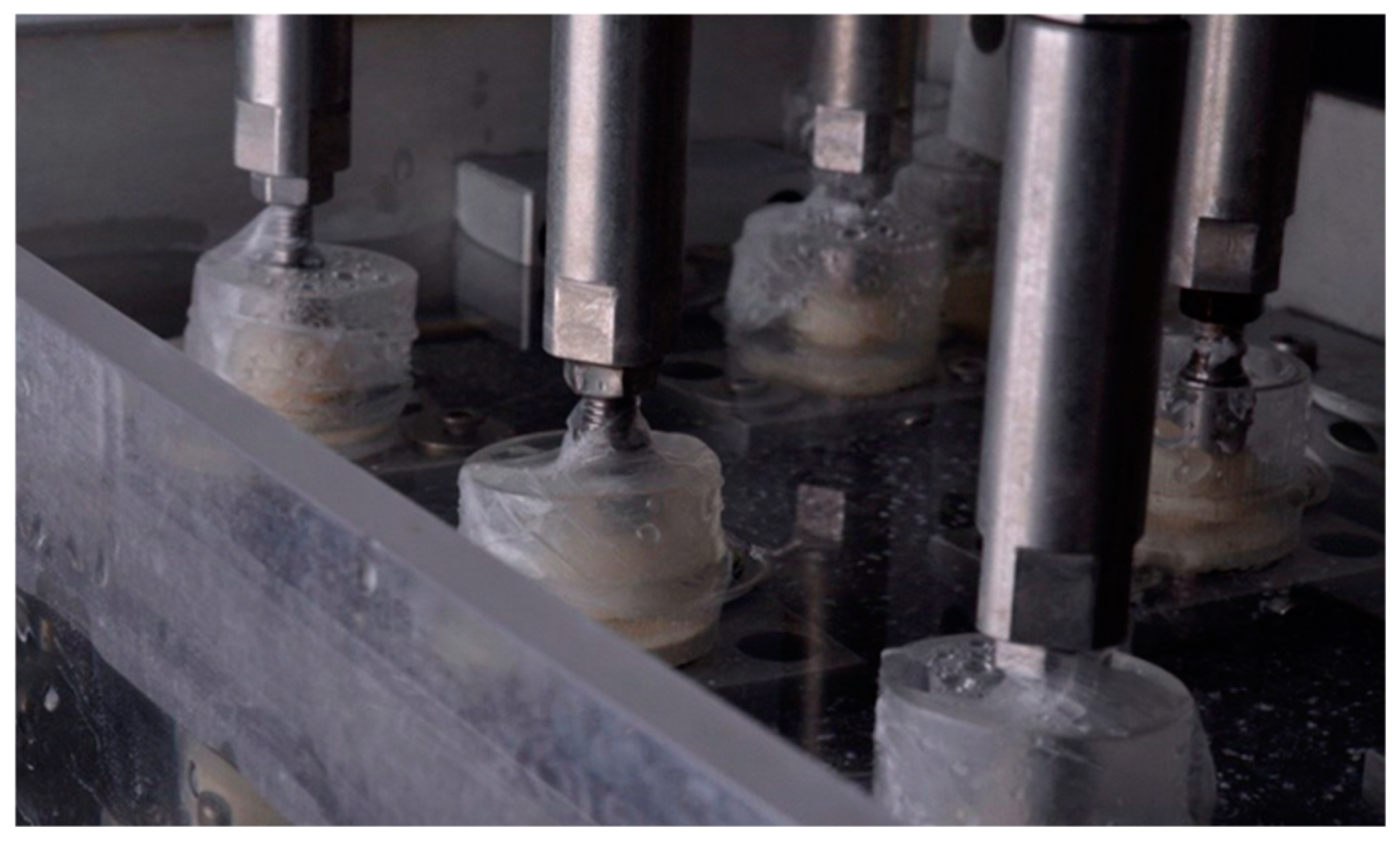 Dentistry 12 00226 g008