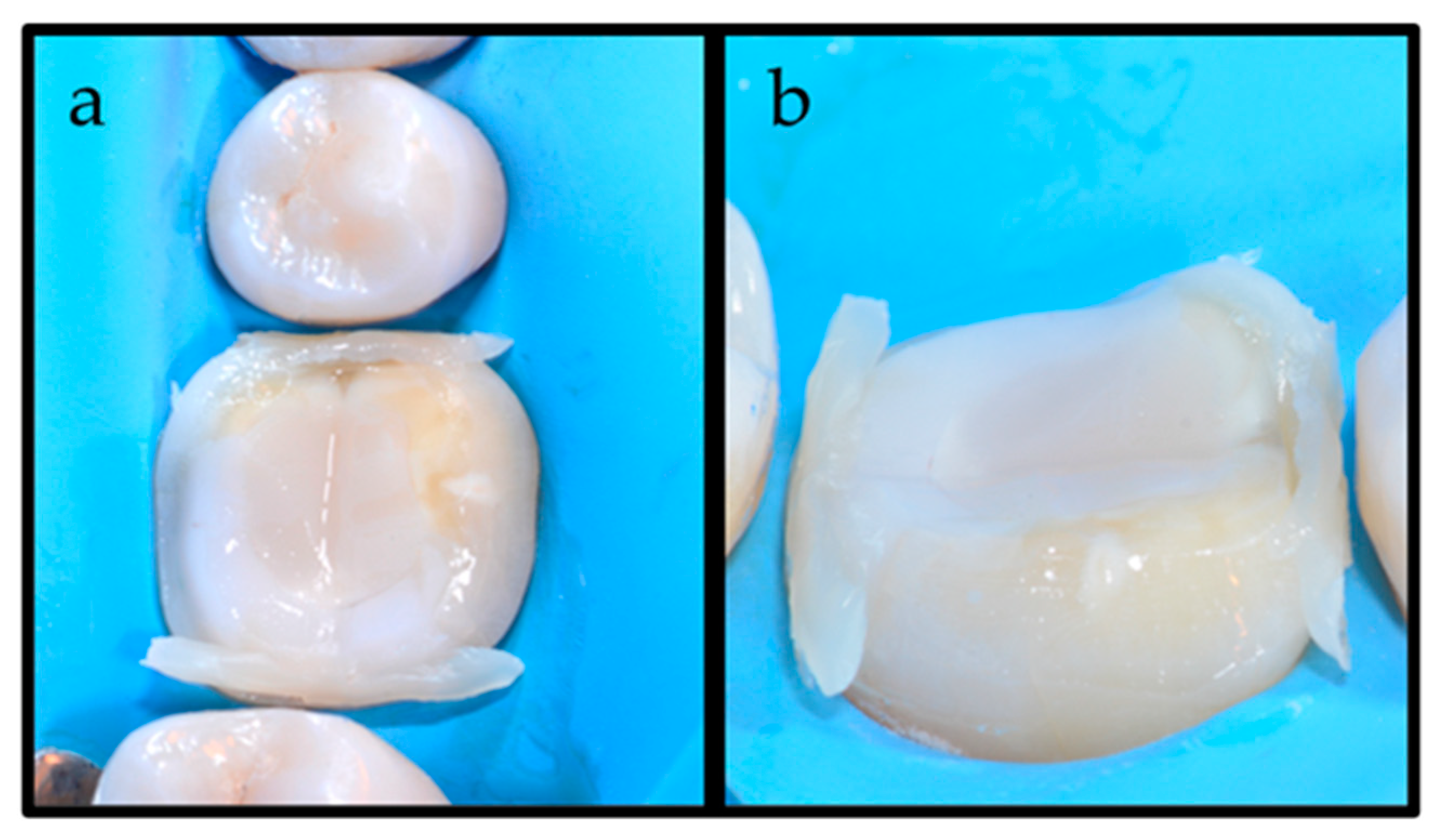 Dentistry 12 00239 g003