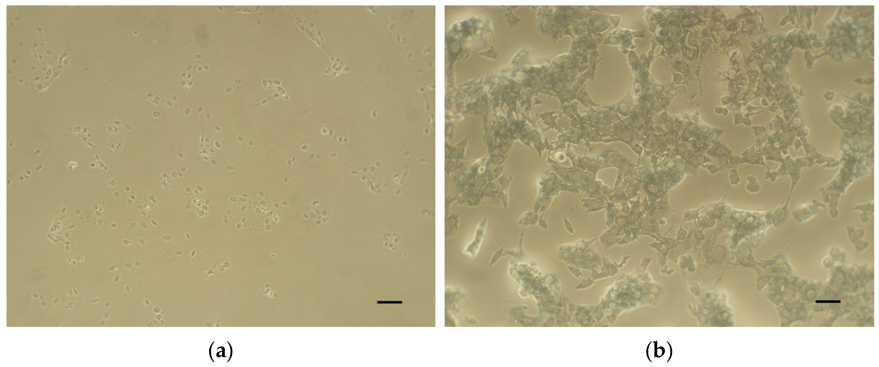 Dentistry 12 00249 g002 Dentistry 12 00249 g002
