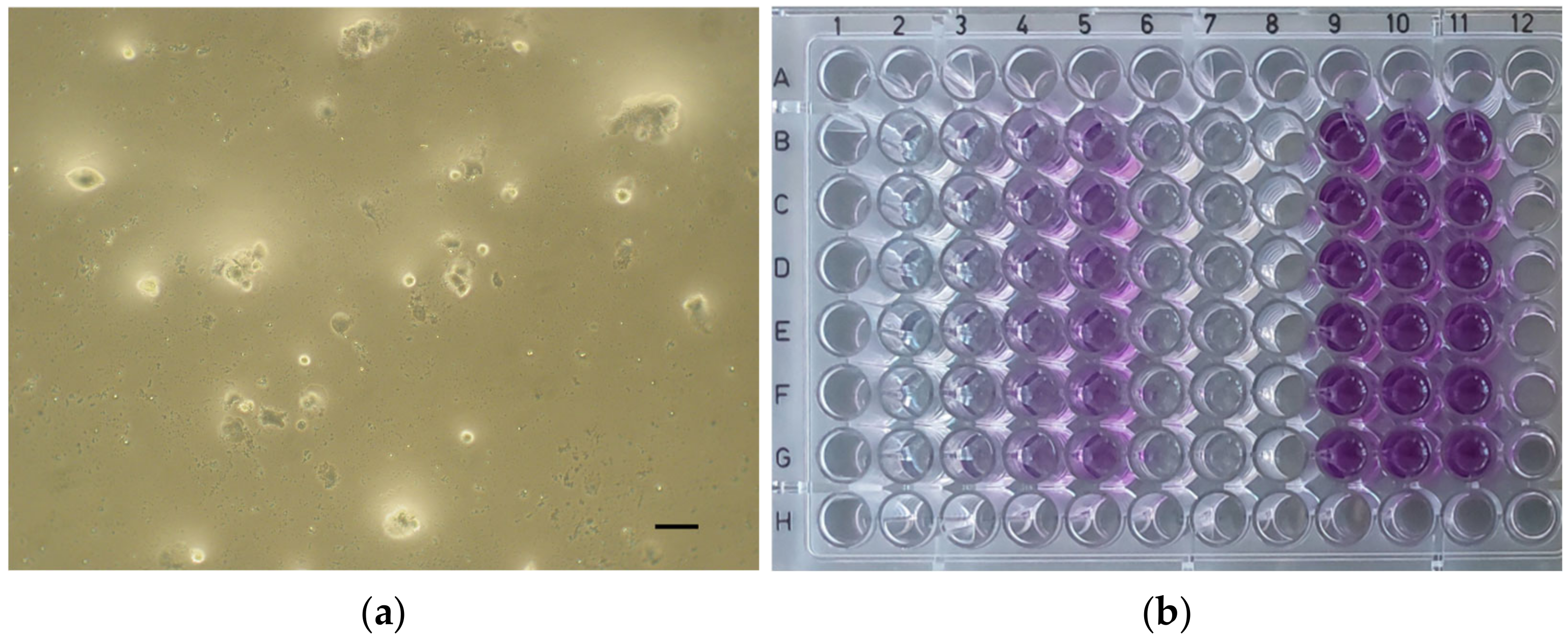Dentistry 12 00249 g004 Dentistry 12 00249 g004