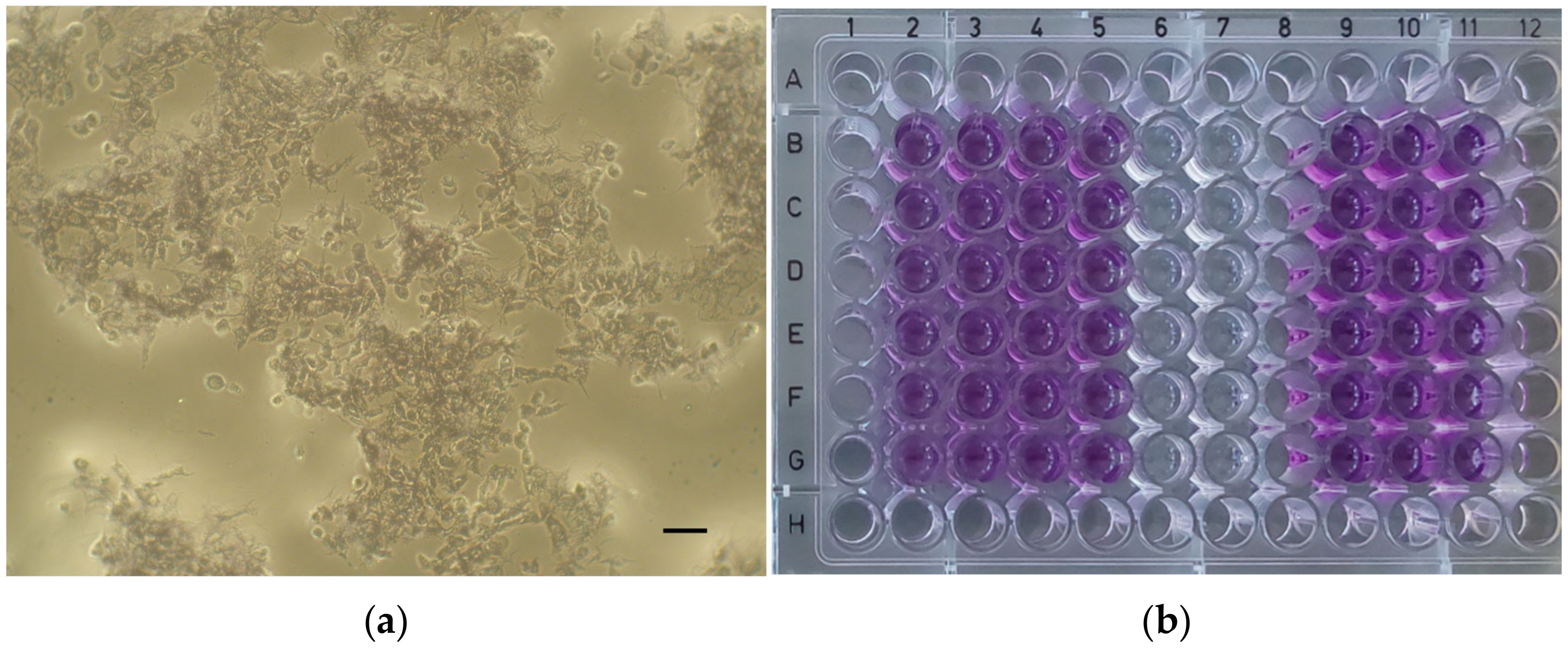 Dentistry 12 00249 g006 Dentistry 12 00249 g006