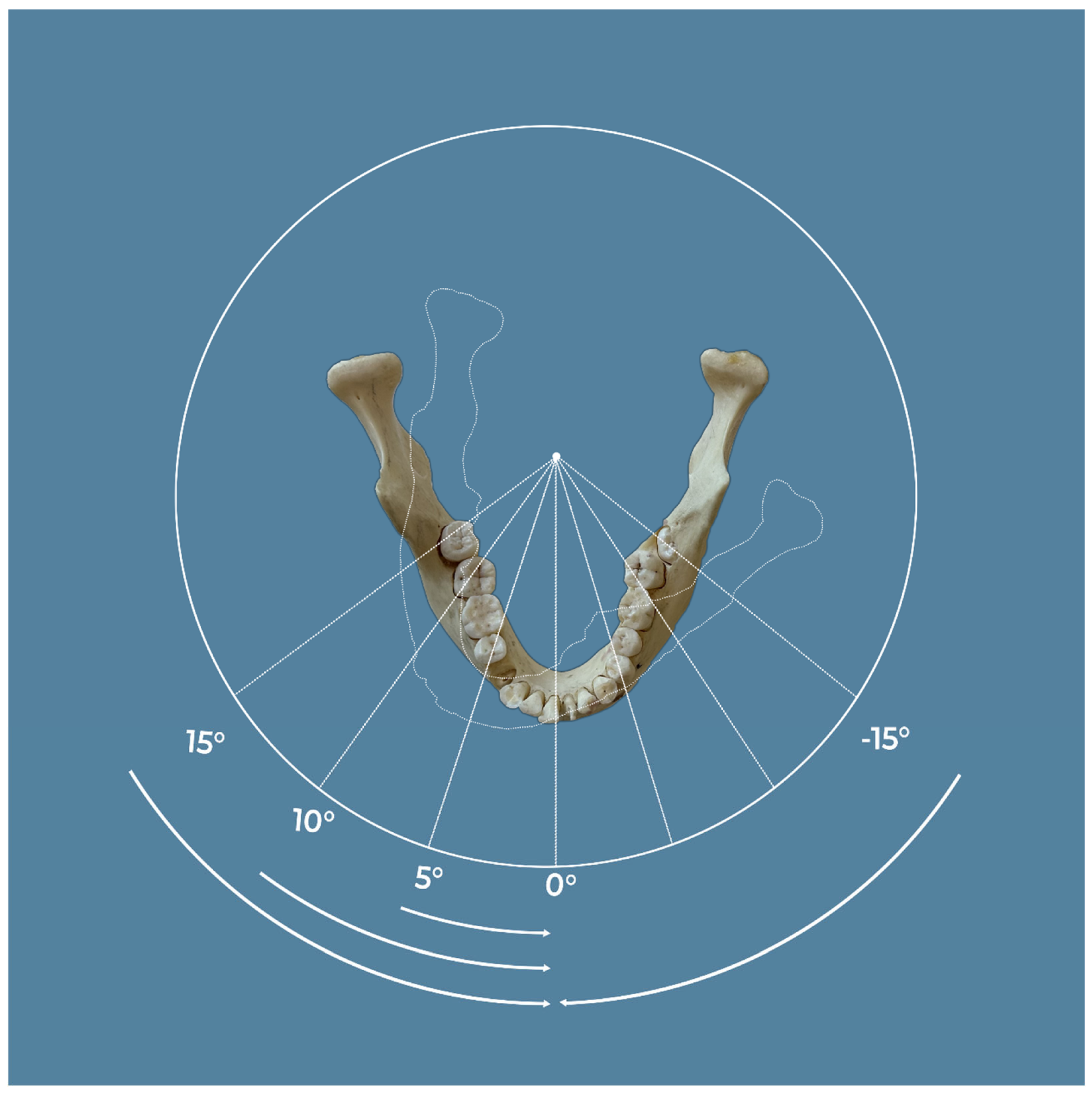 Dentistry 12 00262 g001