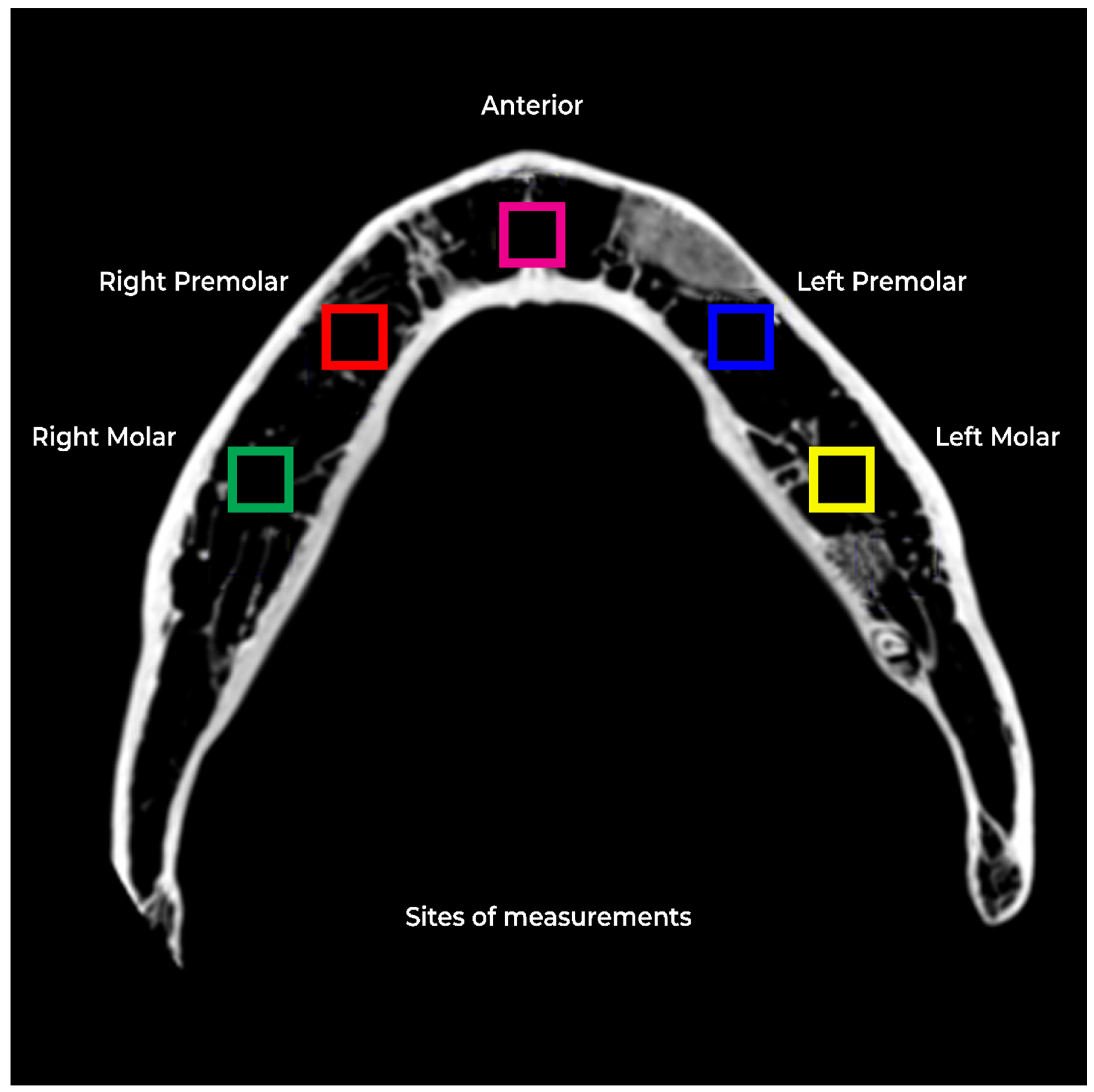 Dentistry 12 00262 g003