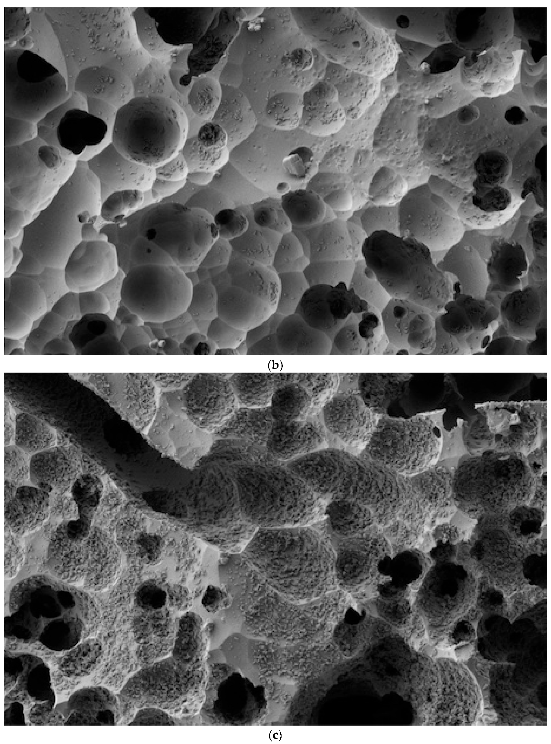 Dentistry 12 00281 g002b