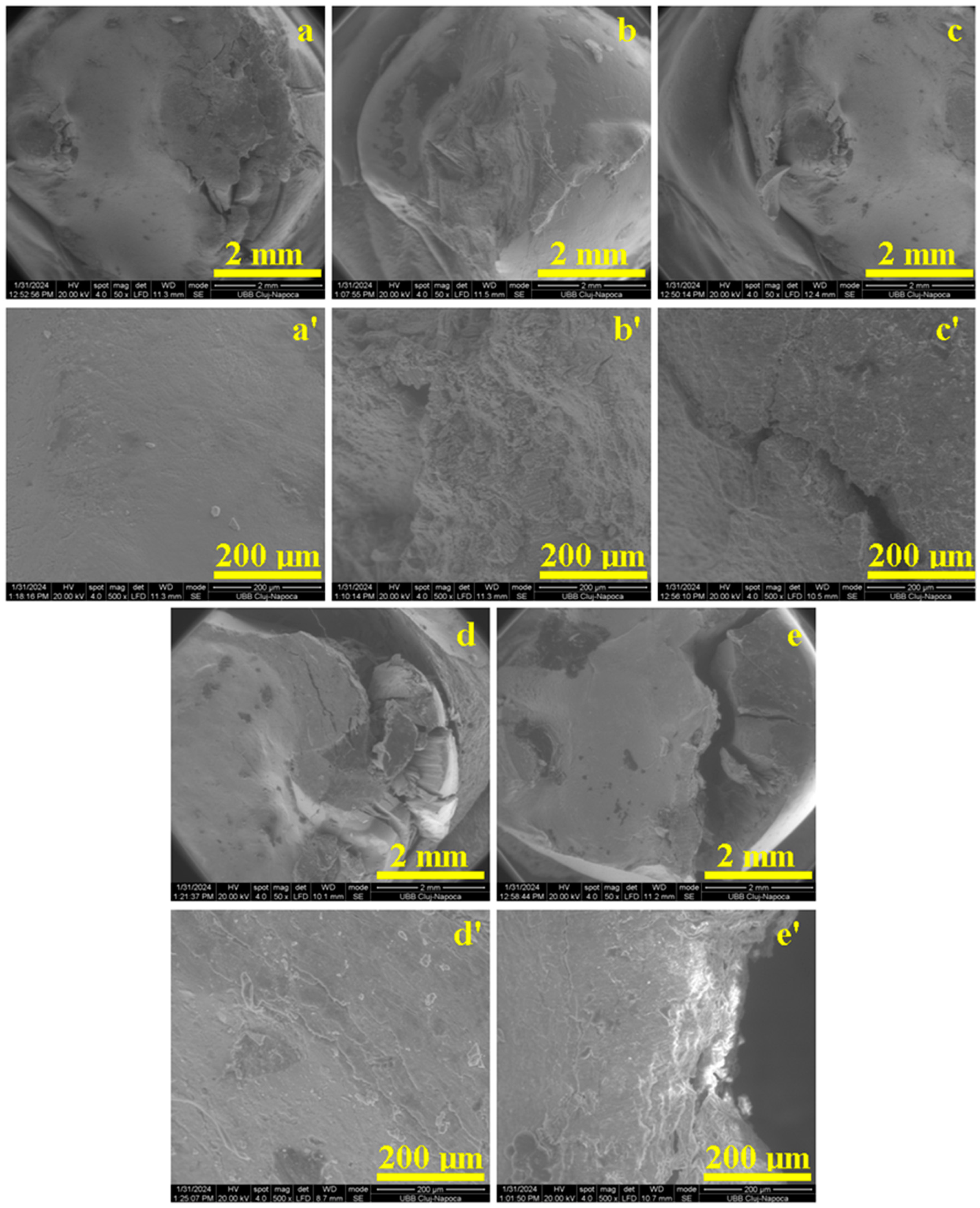 Dentistry 12 00294 g005