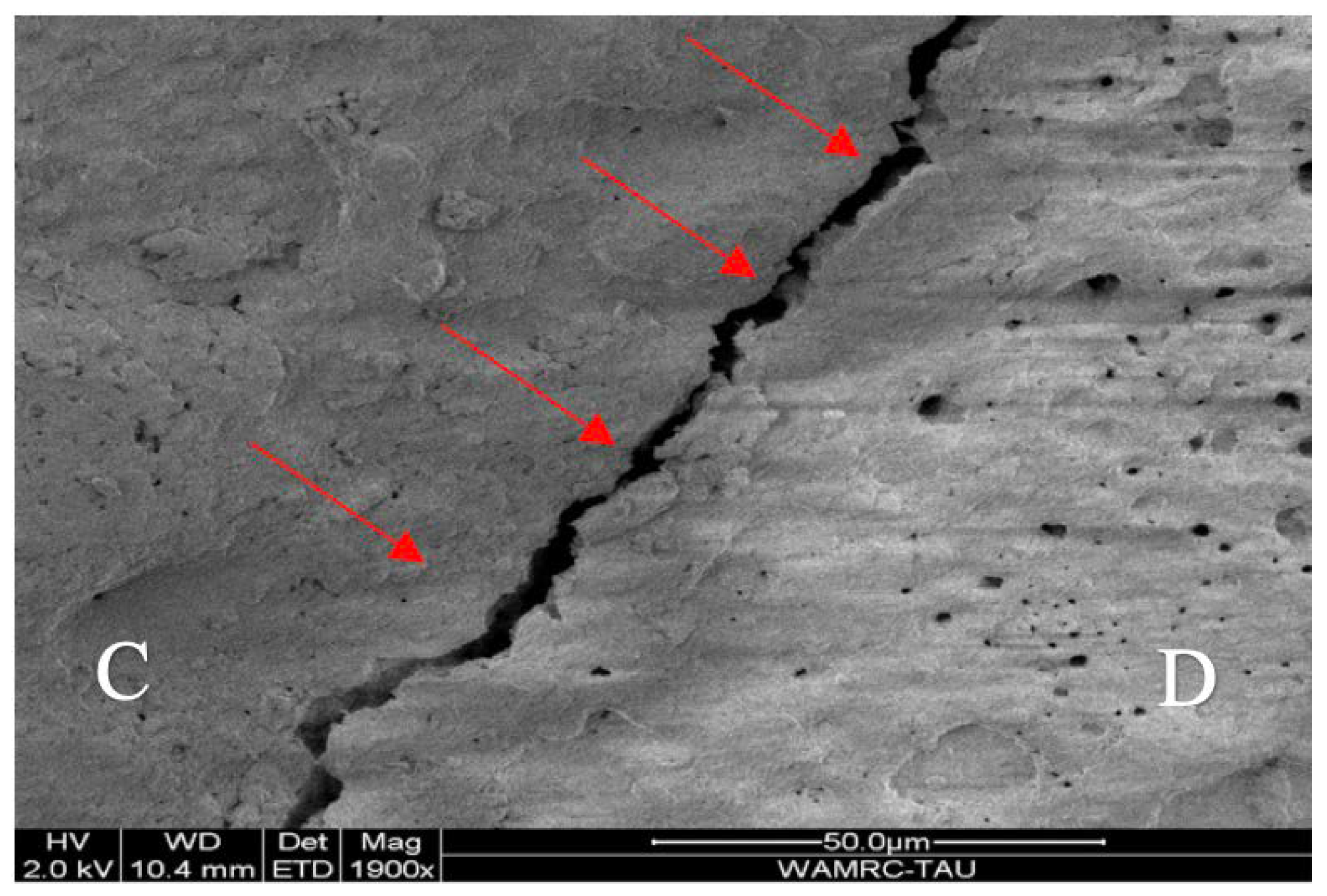 Dentistry 13 00039 g004
