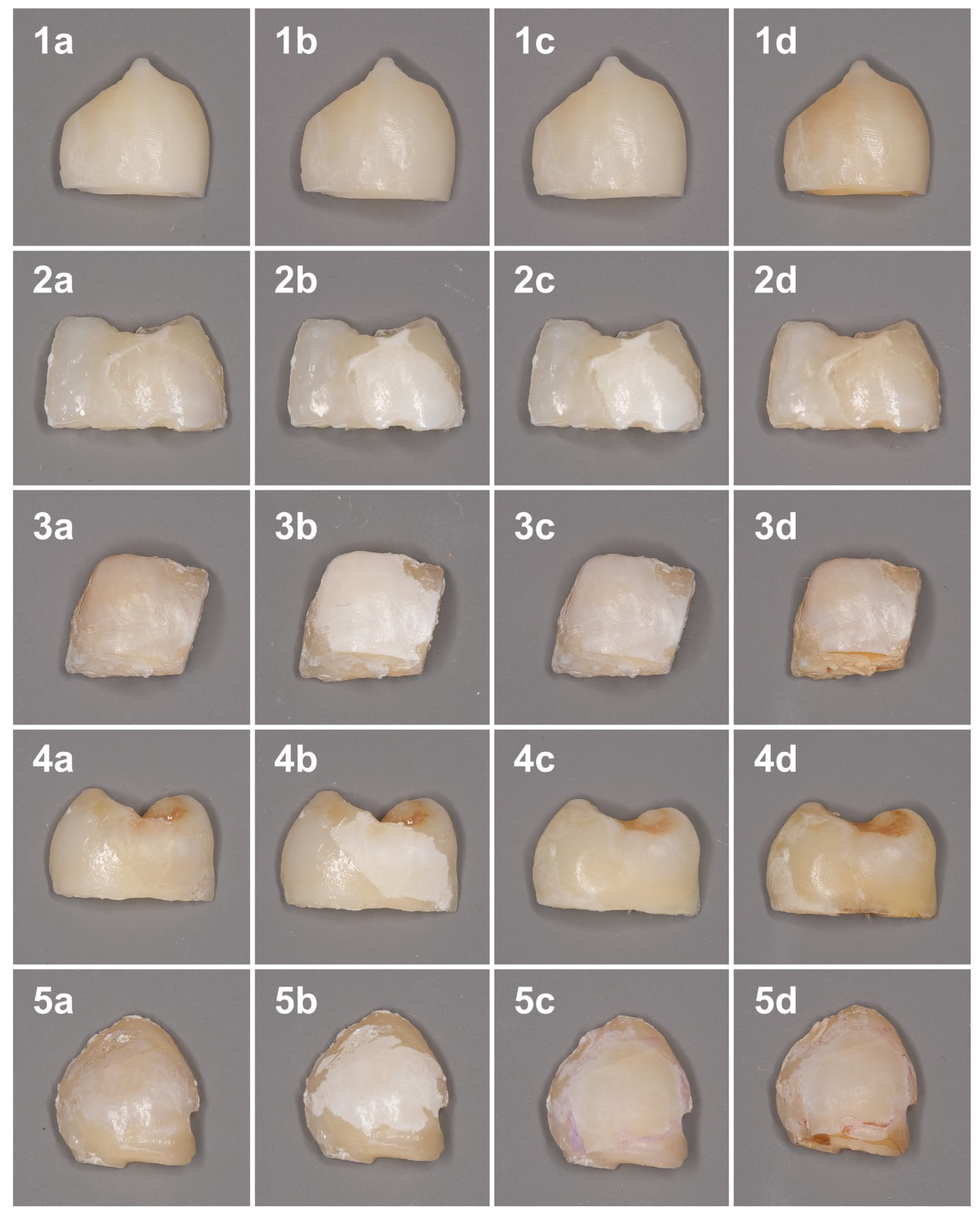 Dentistry 13 00112 g001