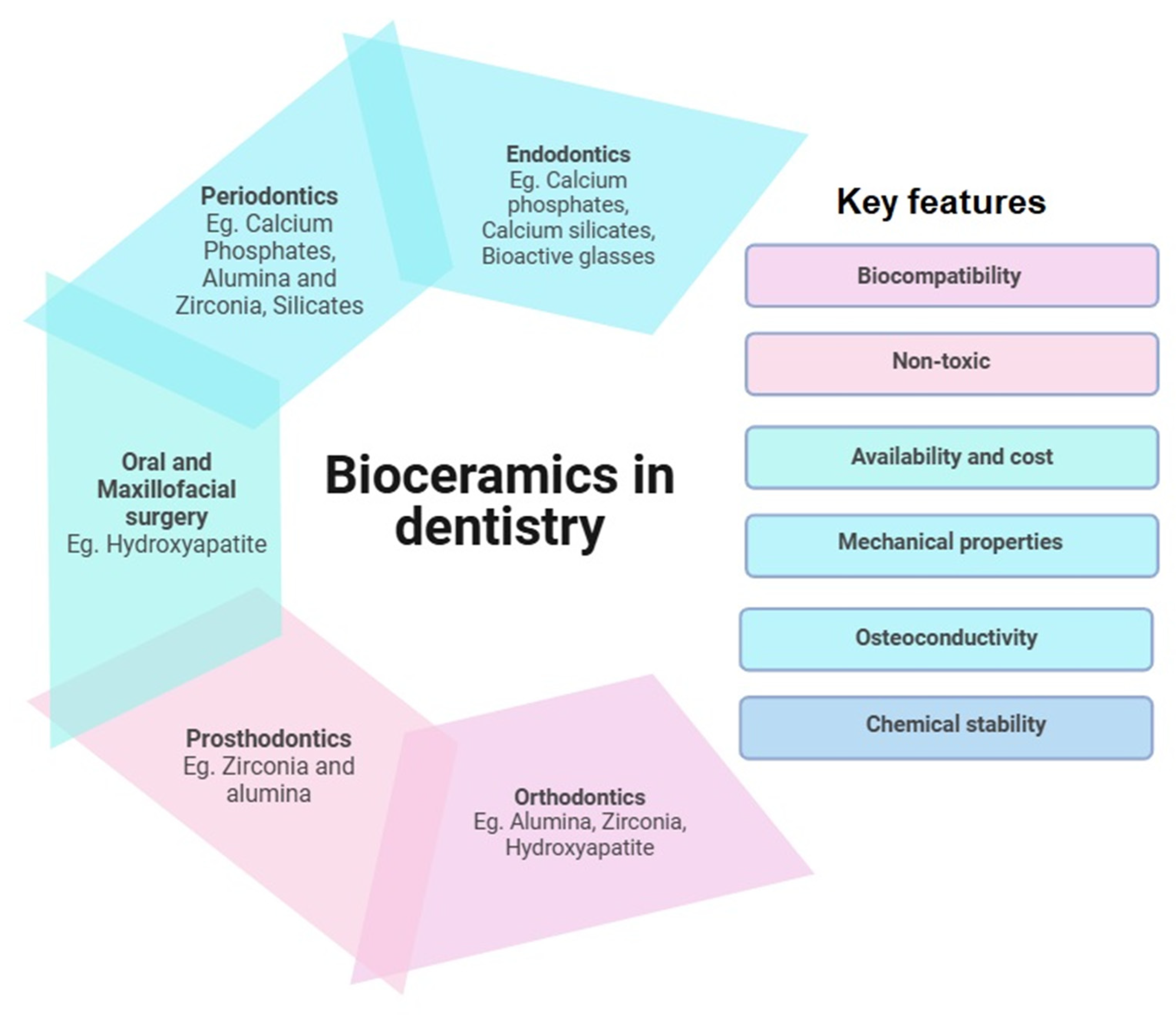 Dentistry 13 00157 g002 Dentistry 13 00157 g002