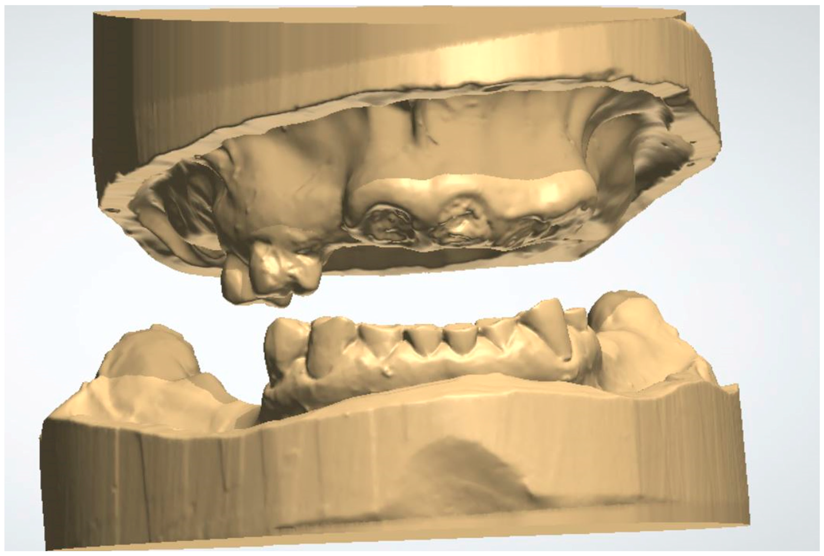 Dentistry 13 00333 g001