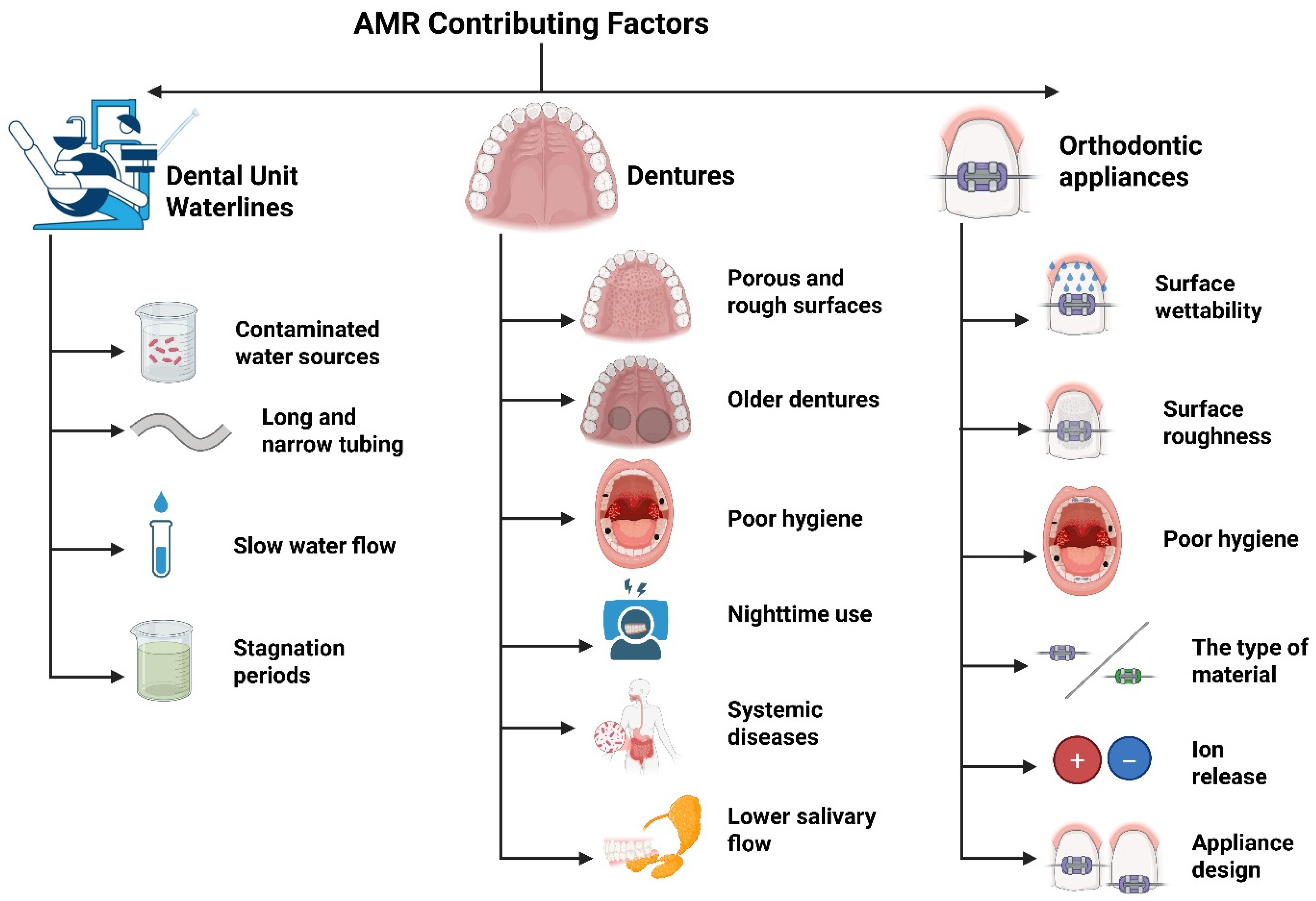 Dentistry 13 00391 g003 Dentistry 13 00391 g003