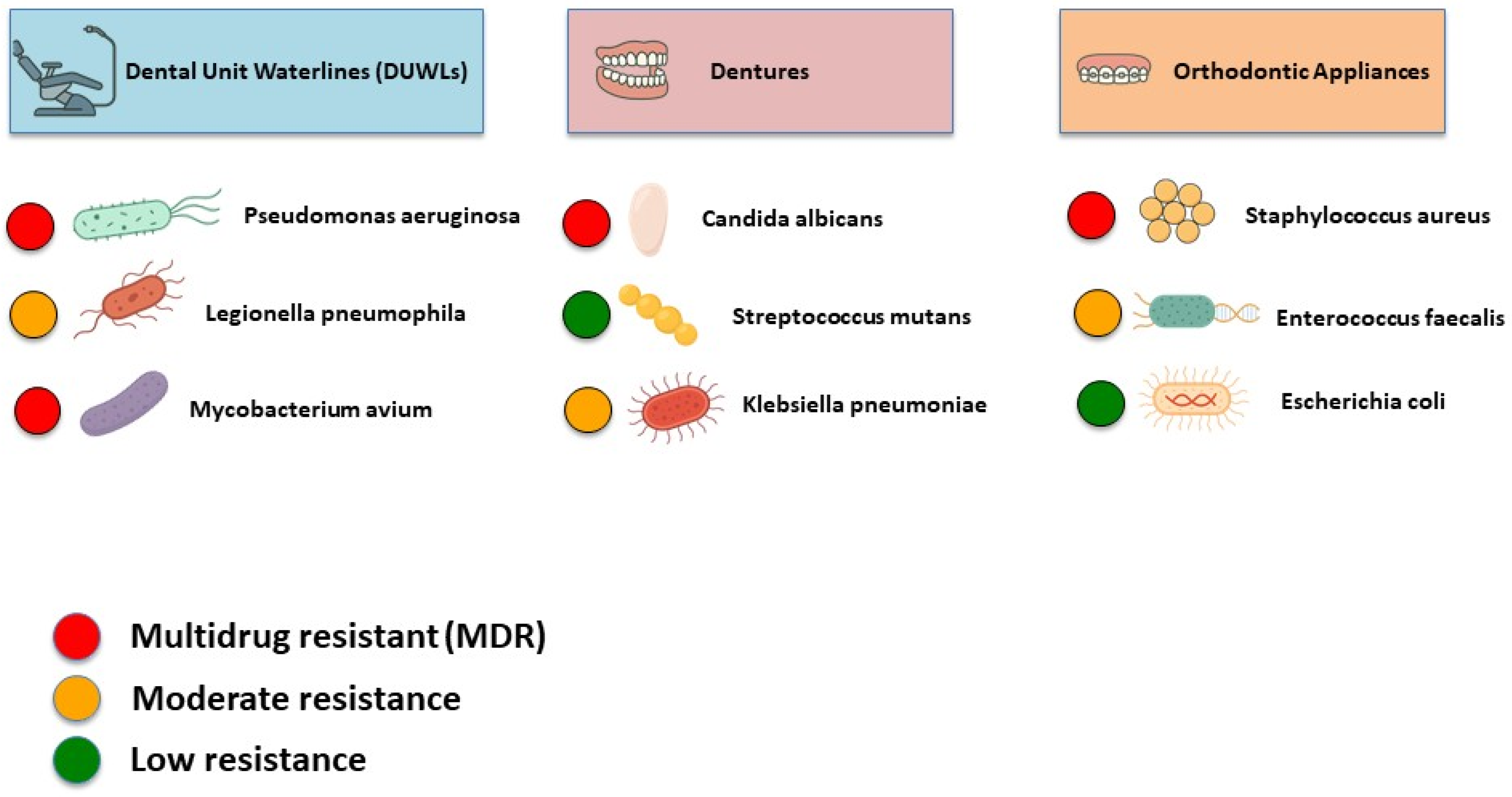 Dentistry 13 00391 g005 Dentistry 13 00391 g005