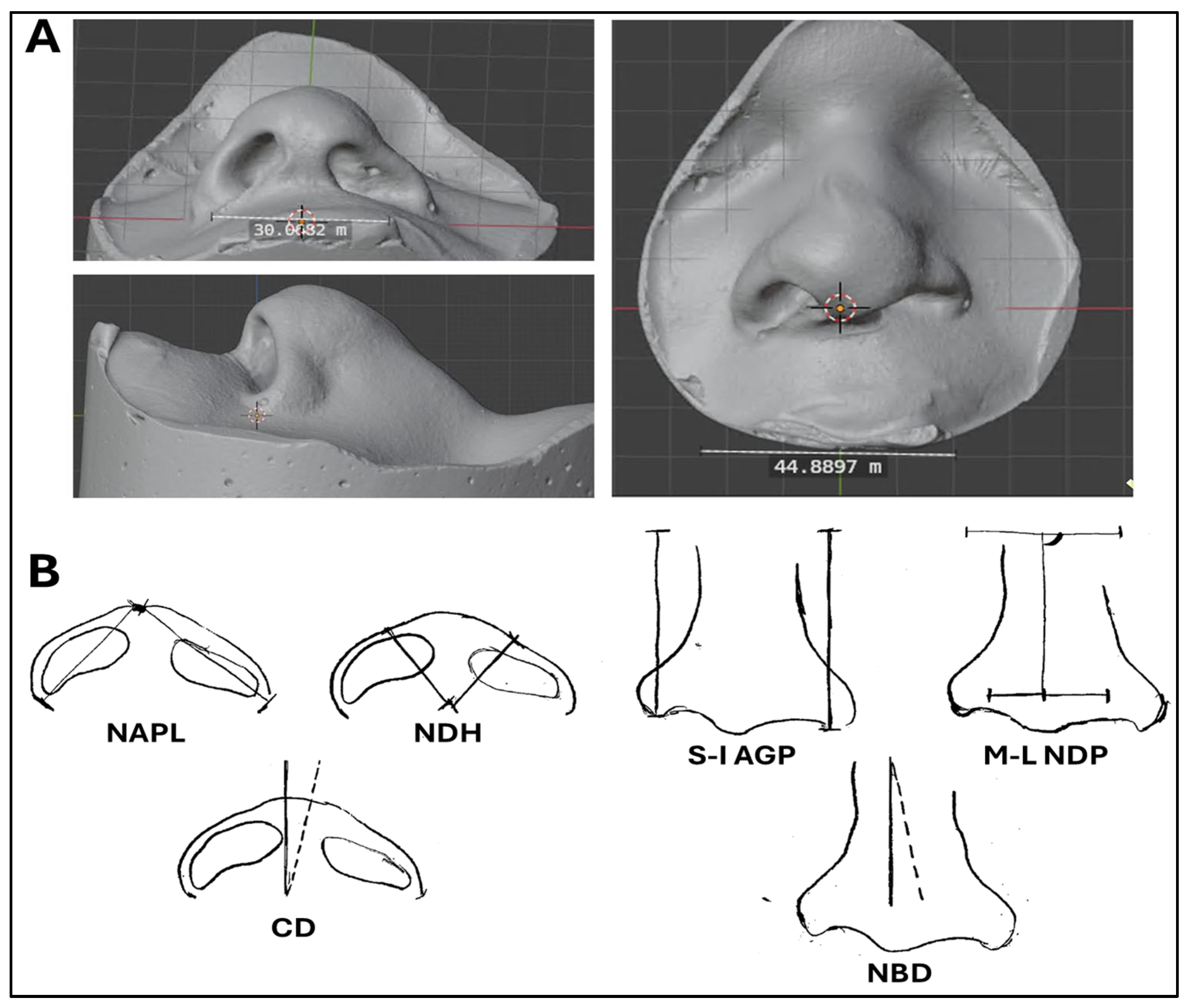Dentistry 13 00394 g001 Dentistry 13 00394 g001