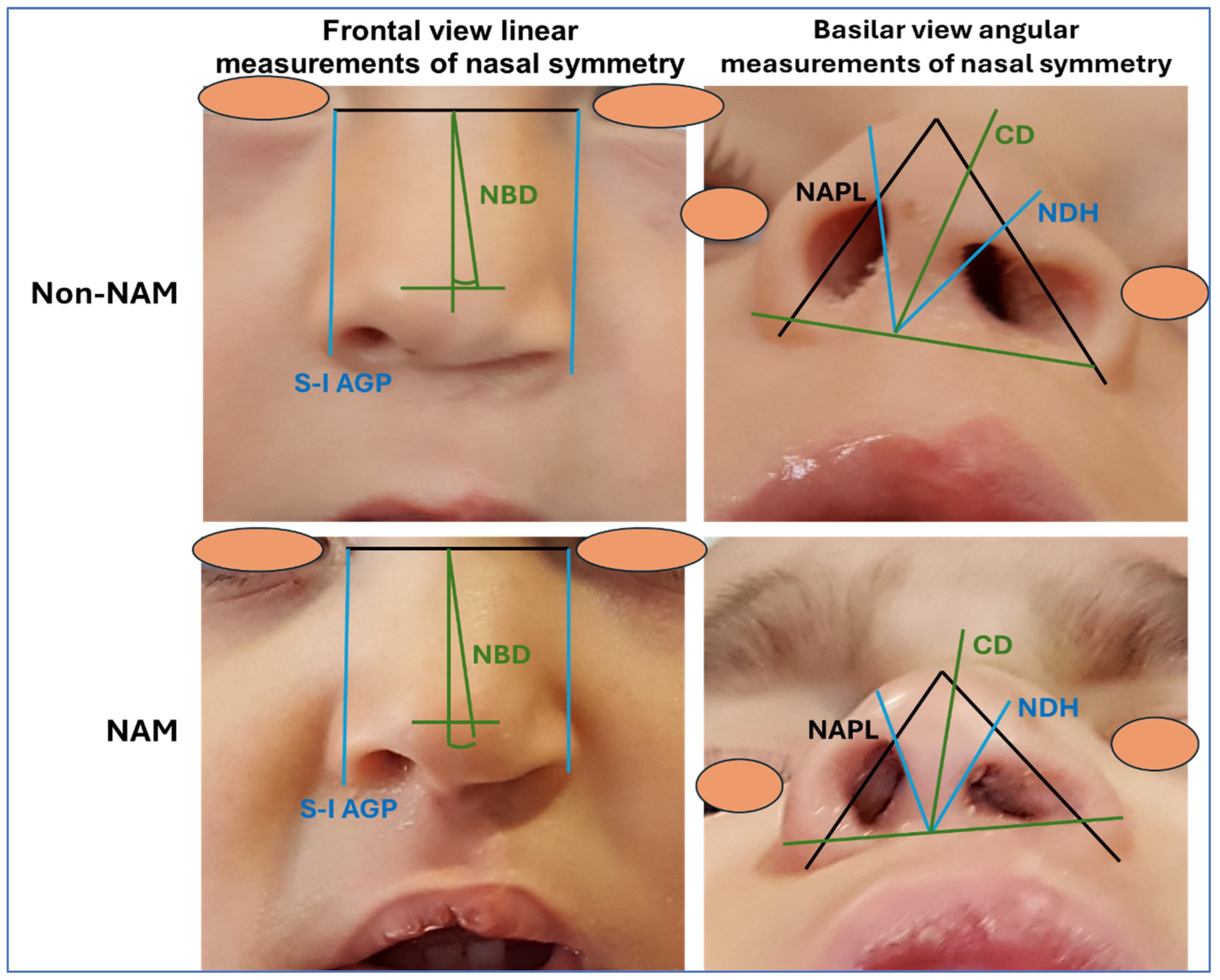 Dentistry 13 00394 g002 Dentistry 13 00394 g002