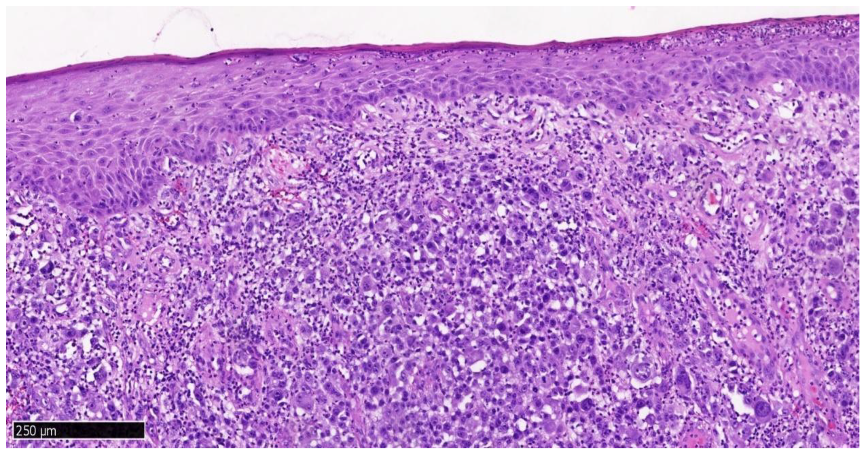 Dentistry 13 00432 g010 Dentistry 13 00432 g010