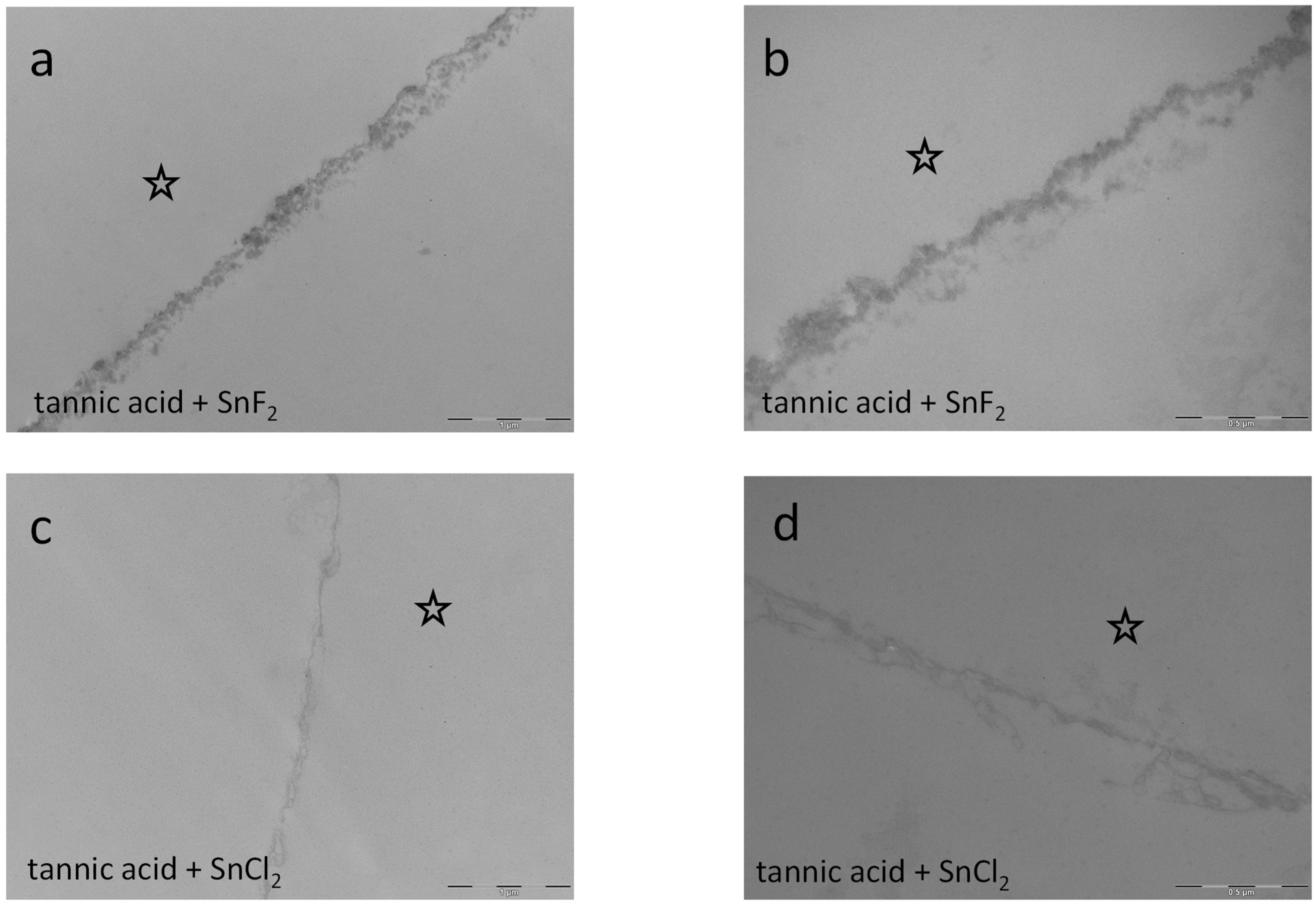 Dentistry 13 00442 g015 Dentistry 13 00442 g015
