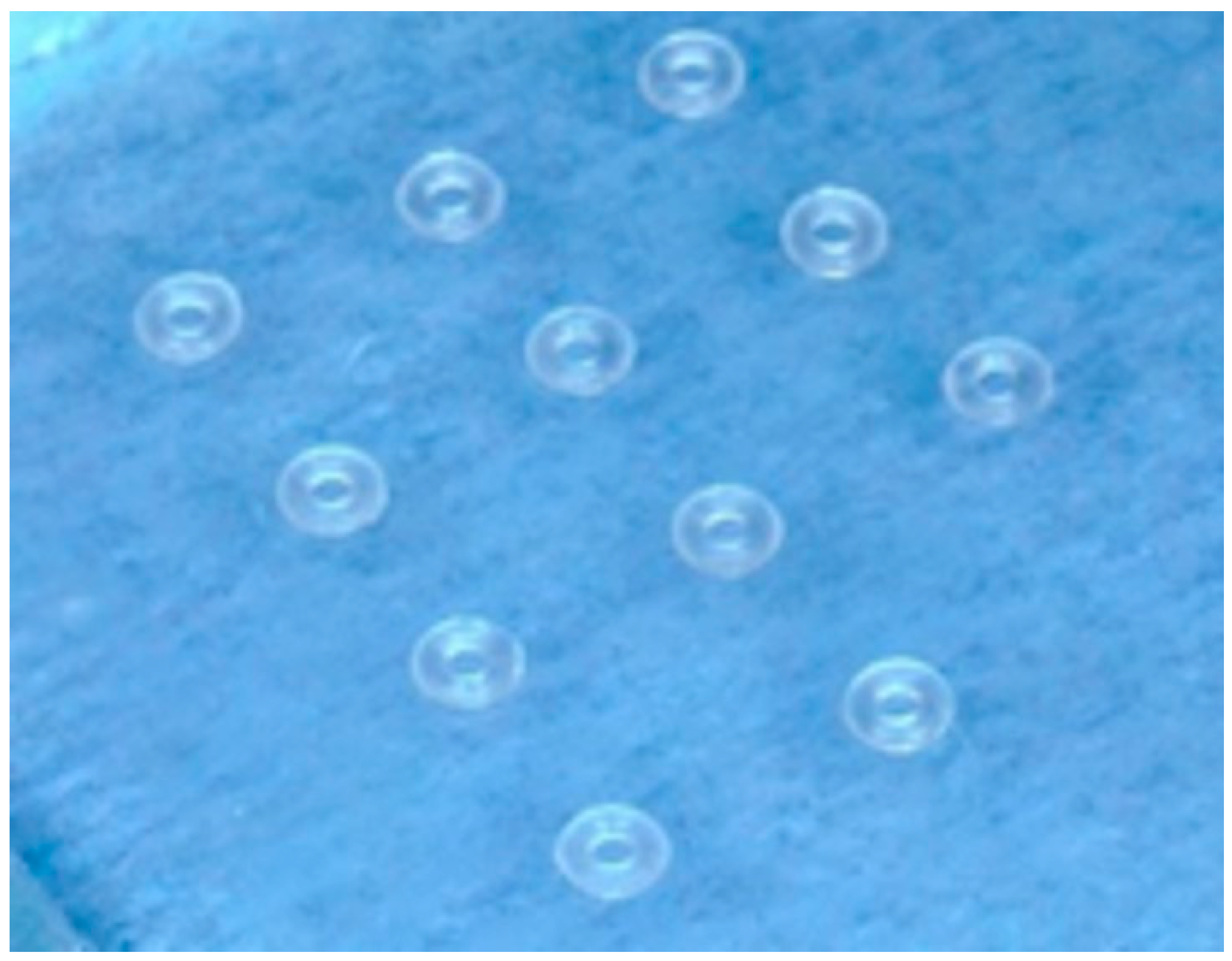 Dentistry 13 00447 g001 Dentistry 13 00447 g001