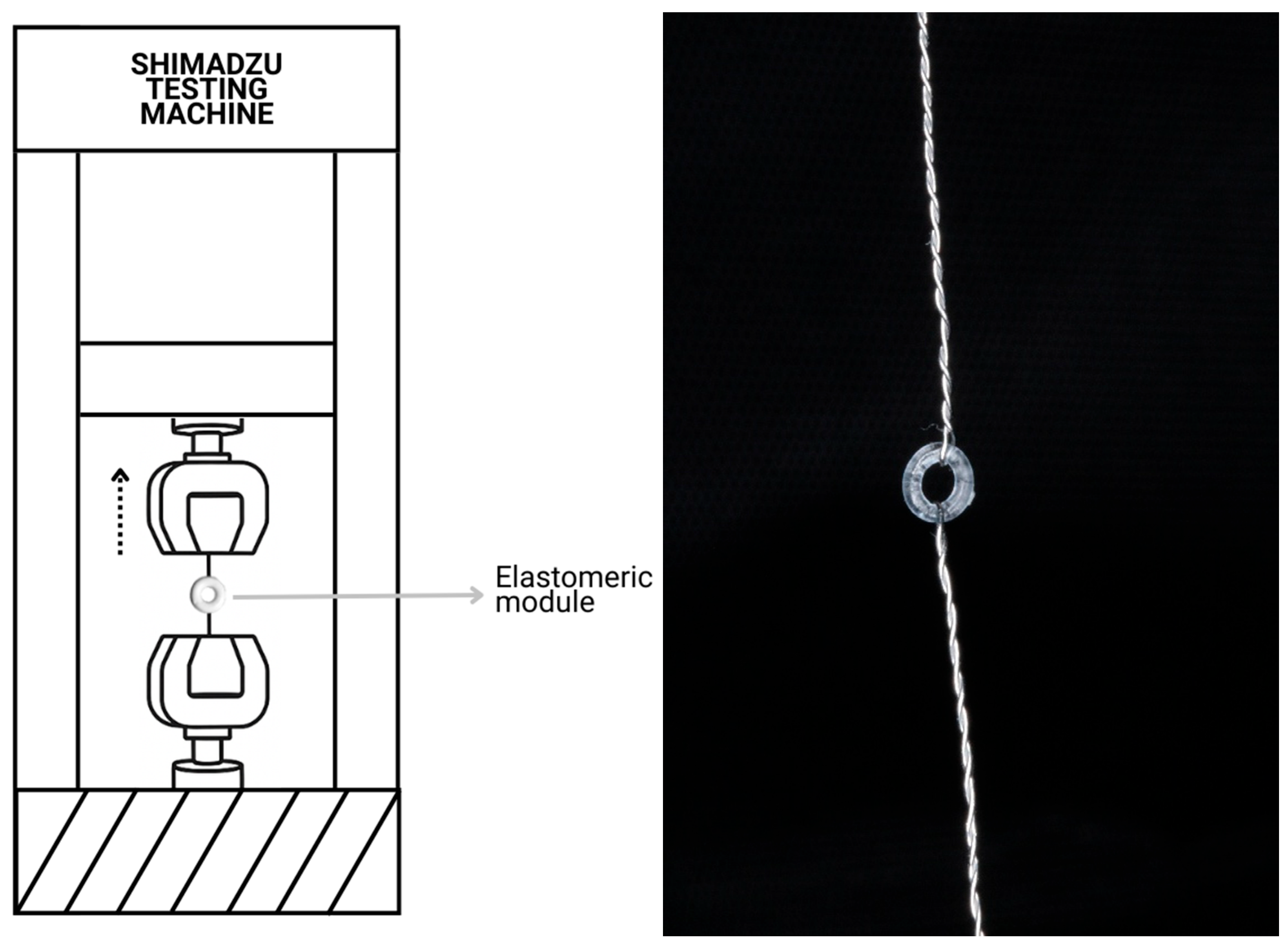 Dentistry 13 00447 g002 Dentistry 13 00447 g002