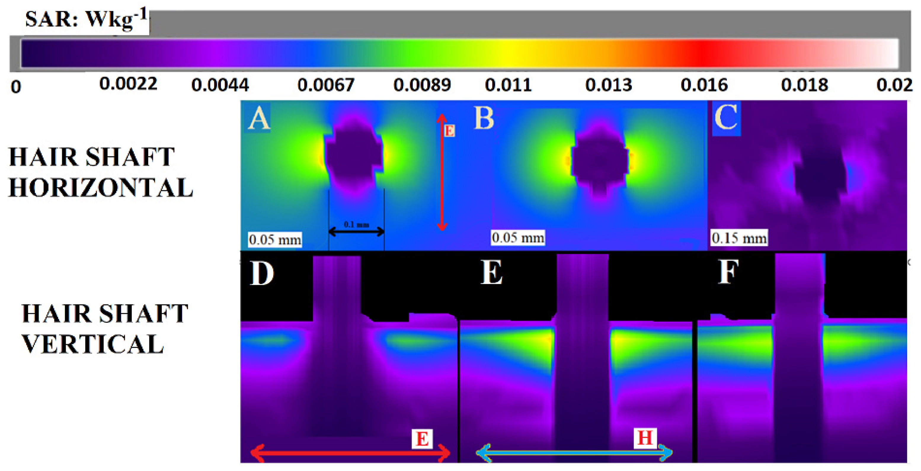Dermato 03 00006 g003 Dermato 03 00006 g003