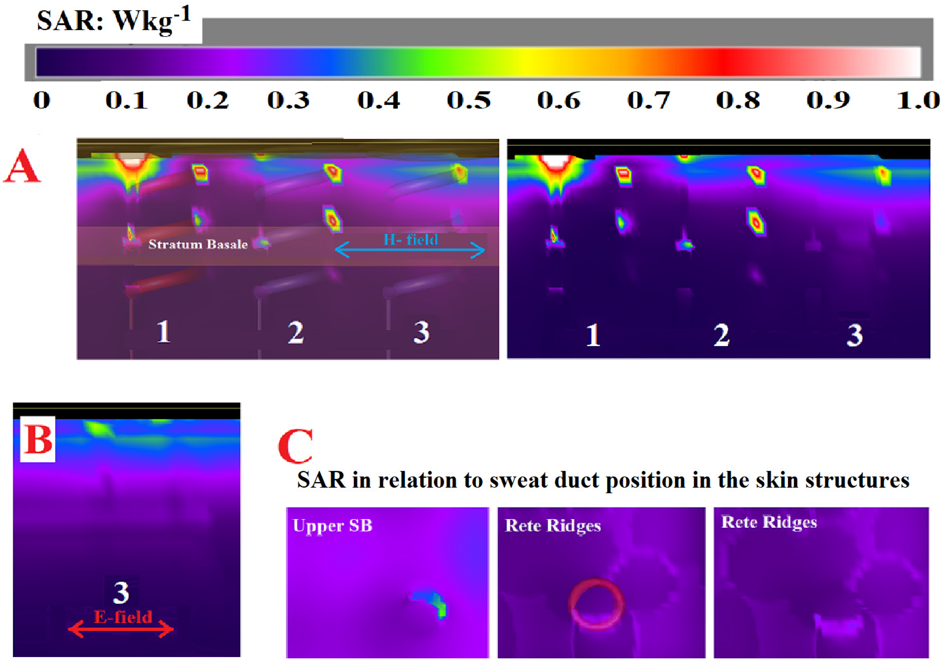 Dermato 03 00006 g005 Dermato 03 00006 g005