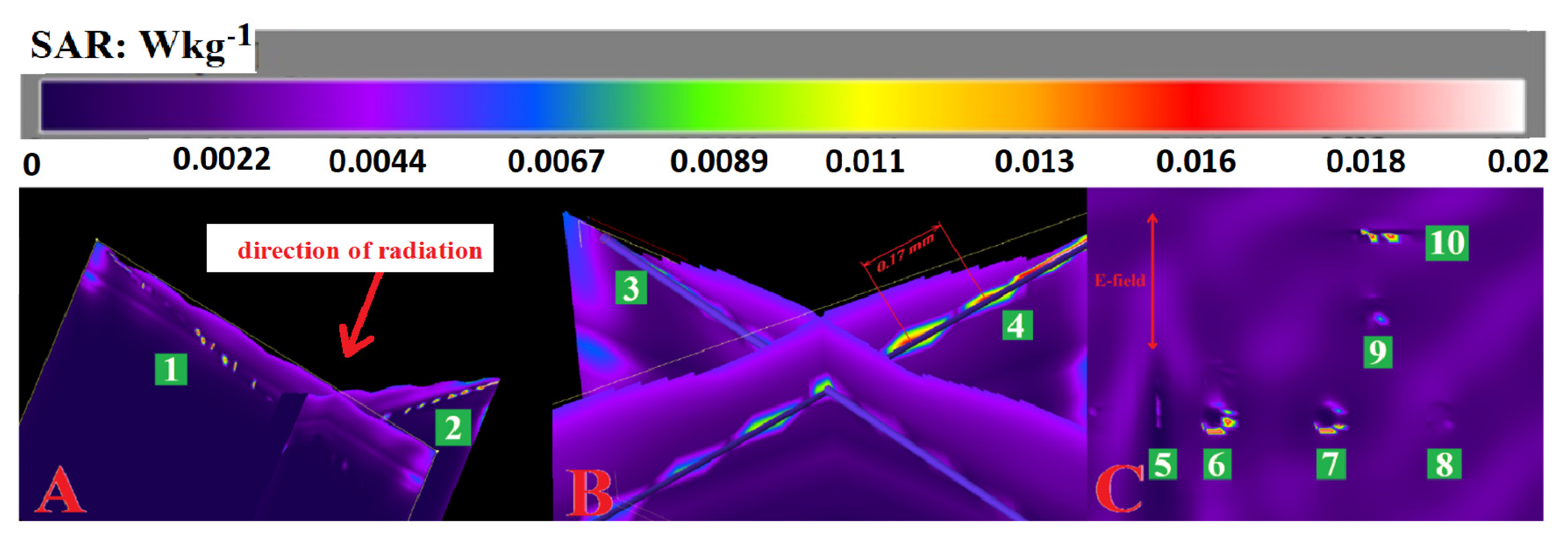 Dermato 03 00006 g007 Dermato 03 00006 g007