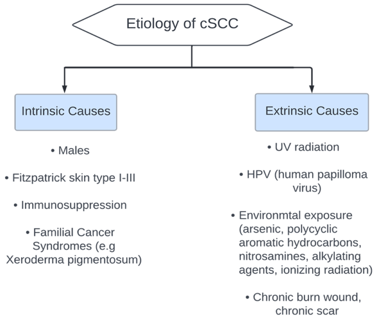 Dermato 03 00013 g002 Dermato 03 00013 g002