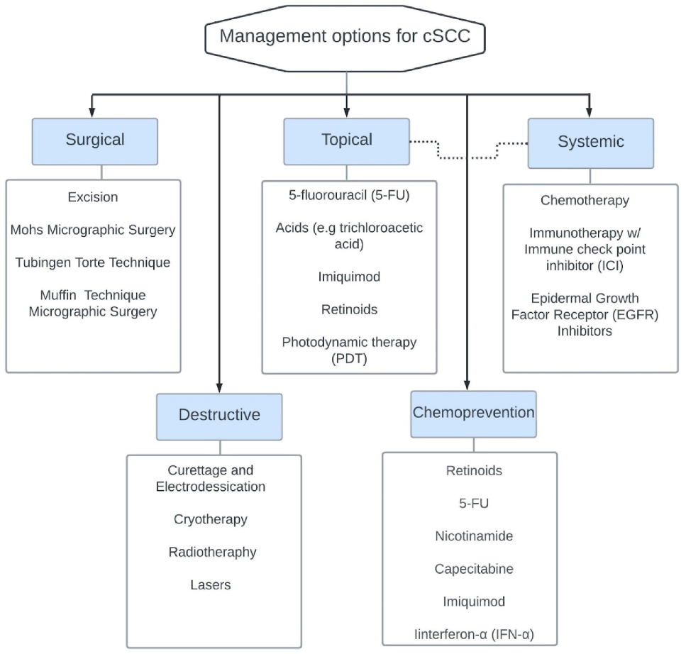 Dermato 03 00013 g007 Dermato 03 00013 g007