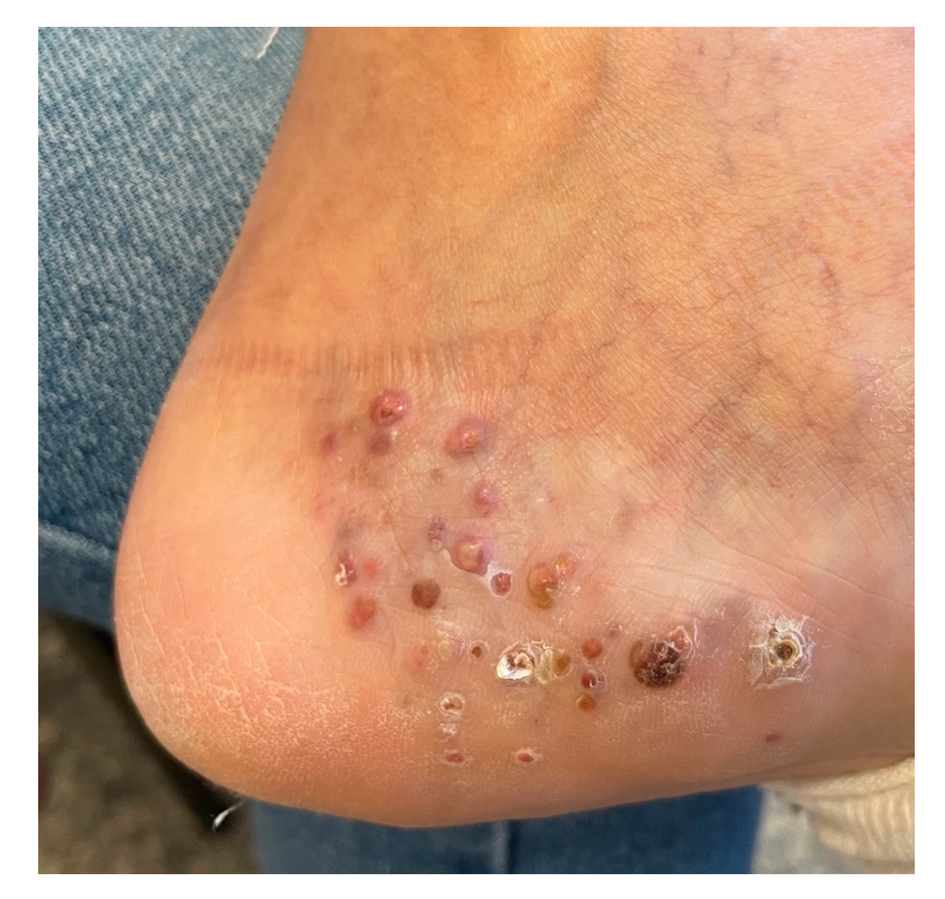 Dermato 04 00008 g001 Dermato 04 00008 g001