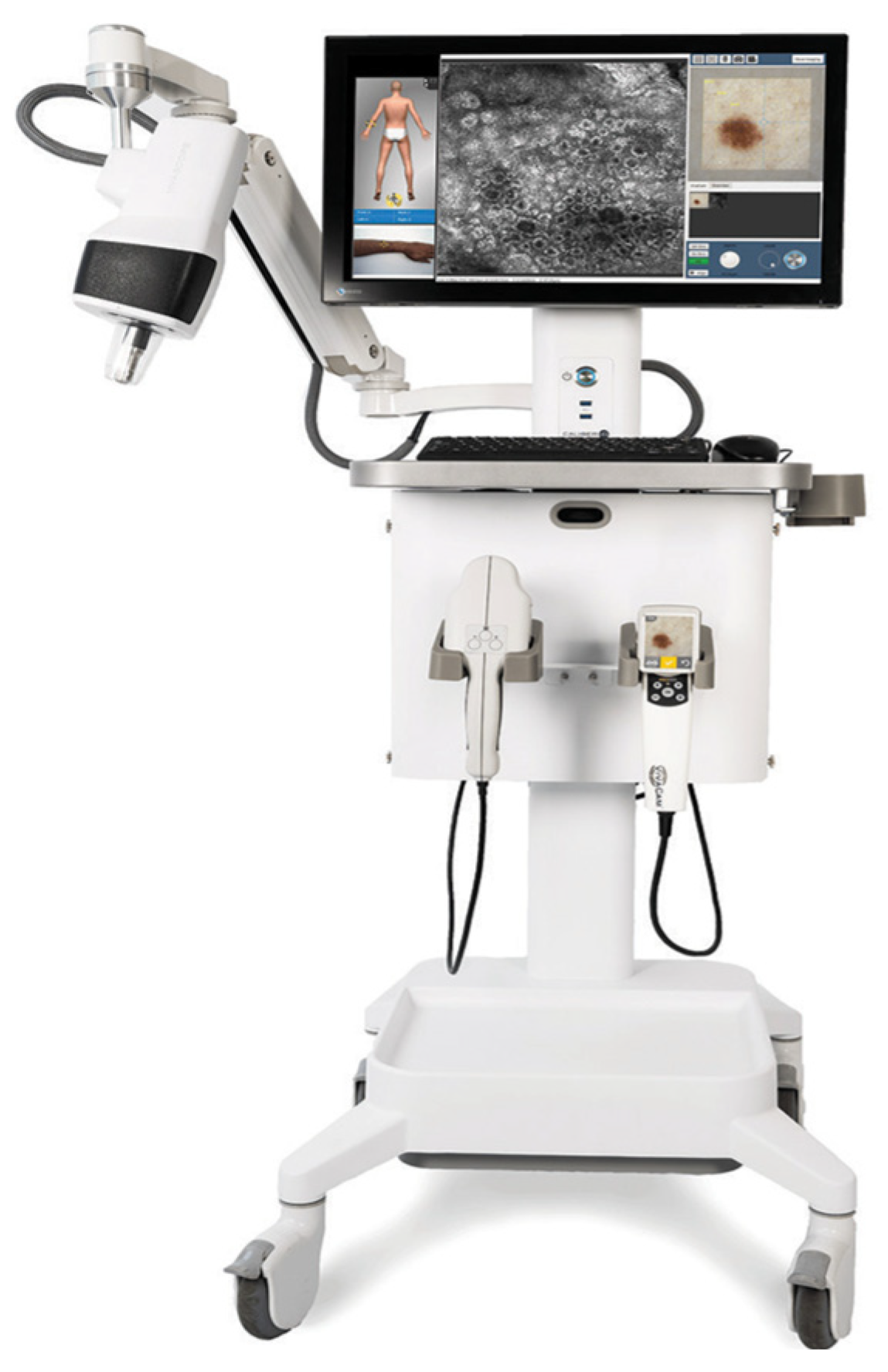 Dermato 04 00015 g003