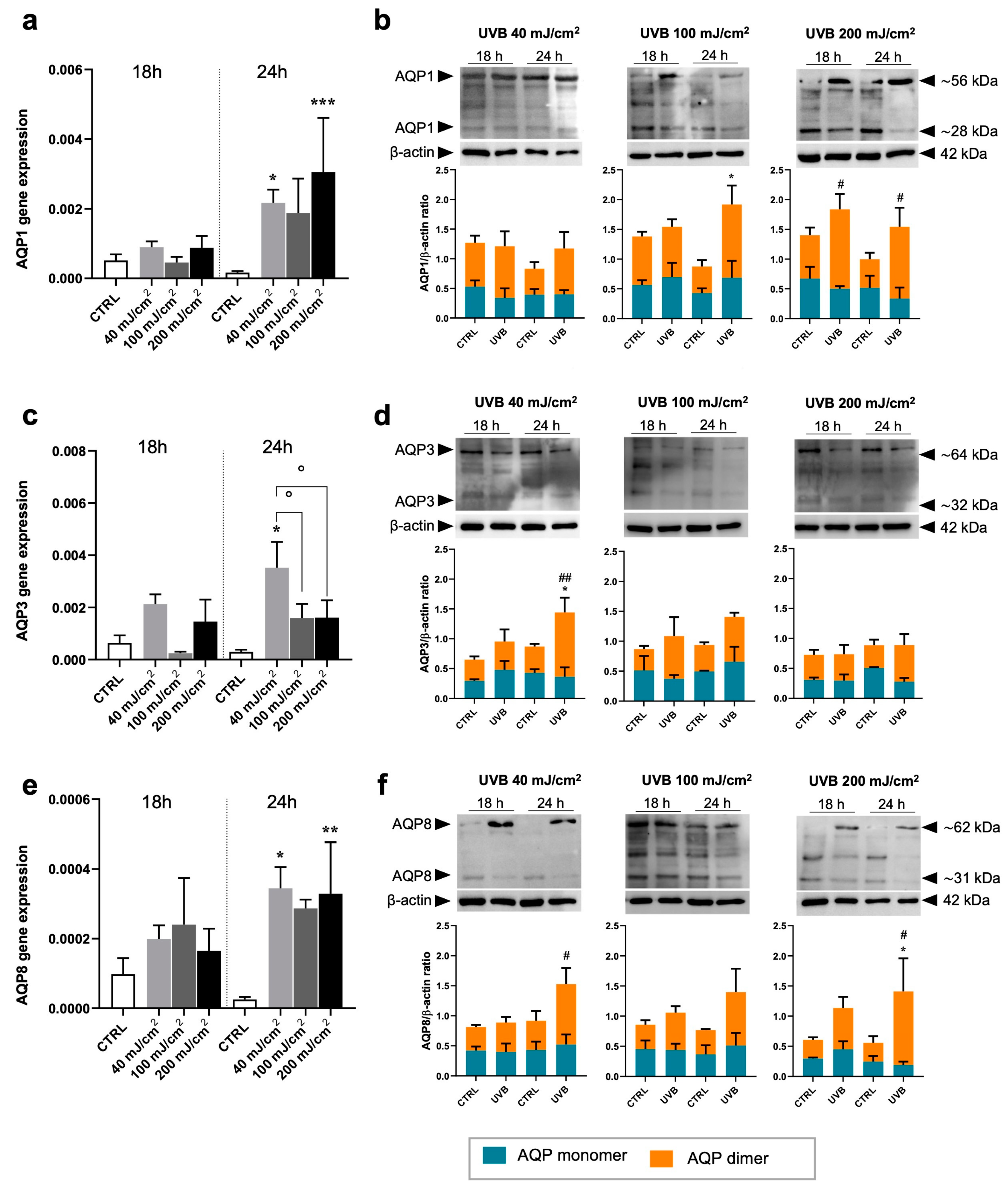 Dermato 05 00003 g003 Dermato 05 00003 g003