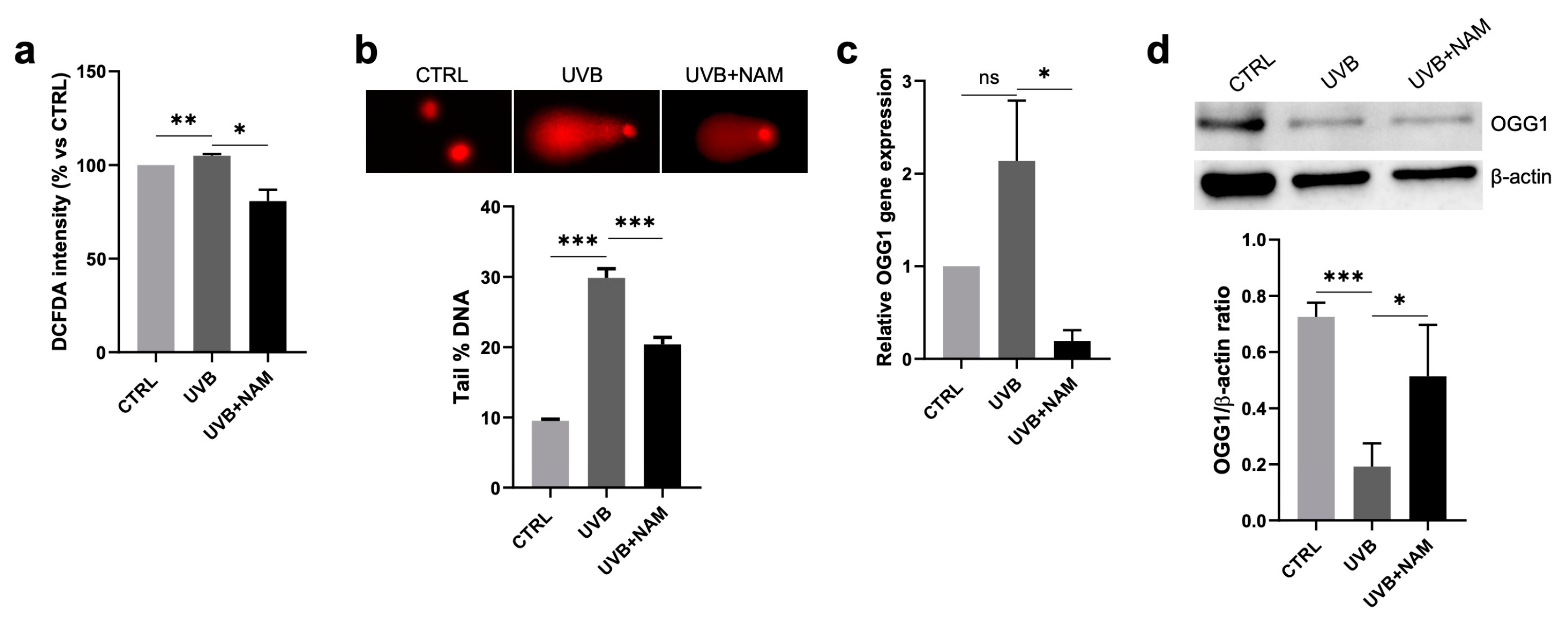 Dermato 05 00003 g005 Dermato 05 00003 g005