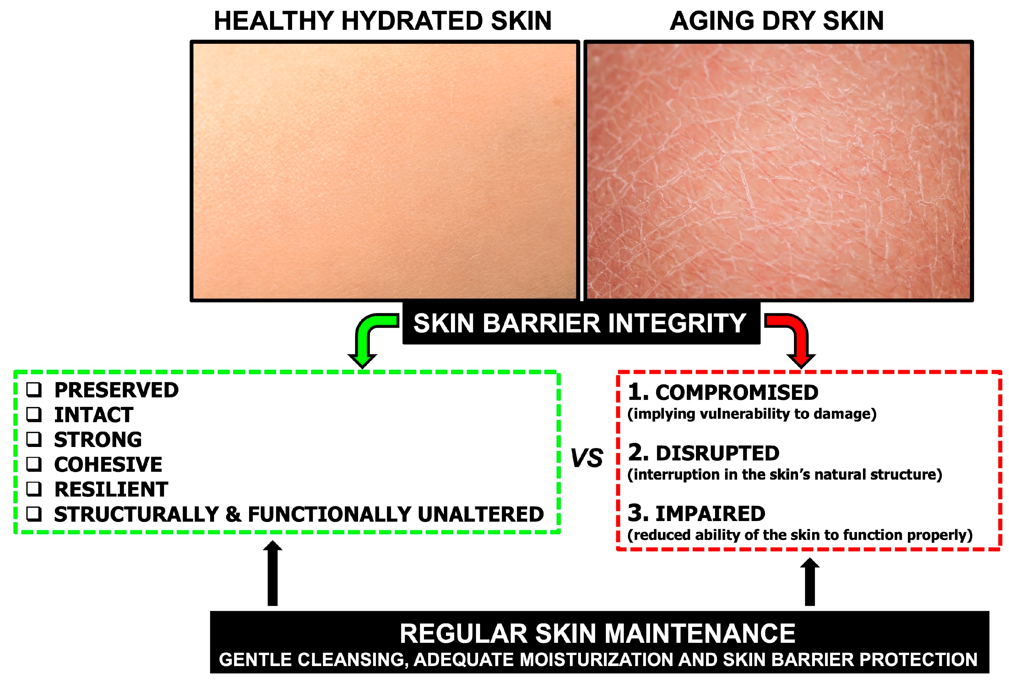 Dermato 06 00016 g001 Dermato 06 00016 g001