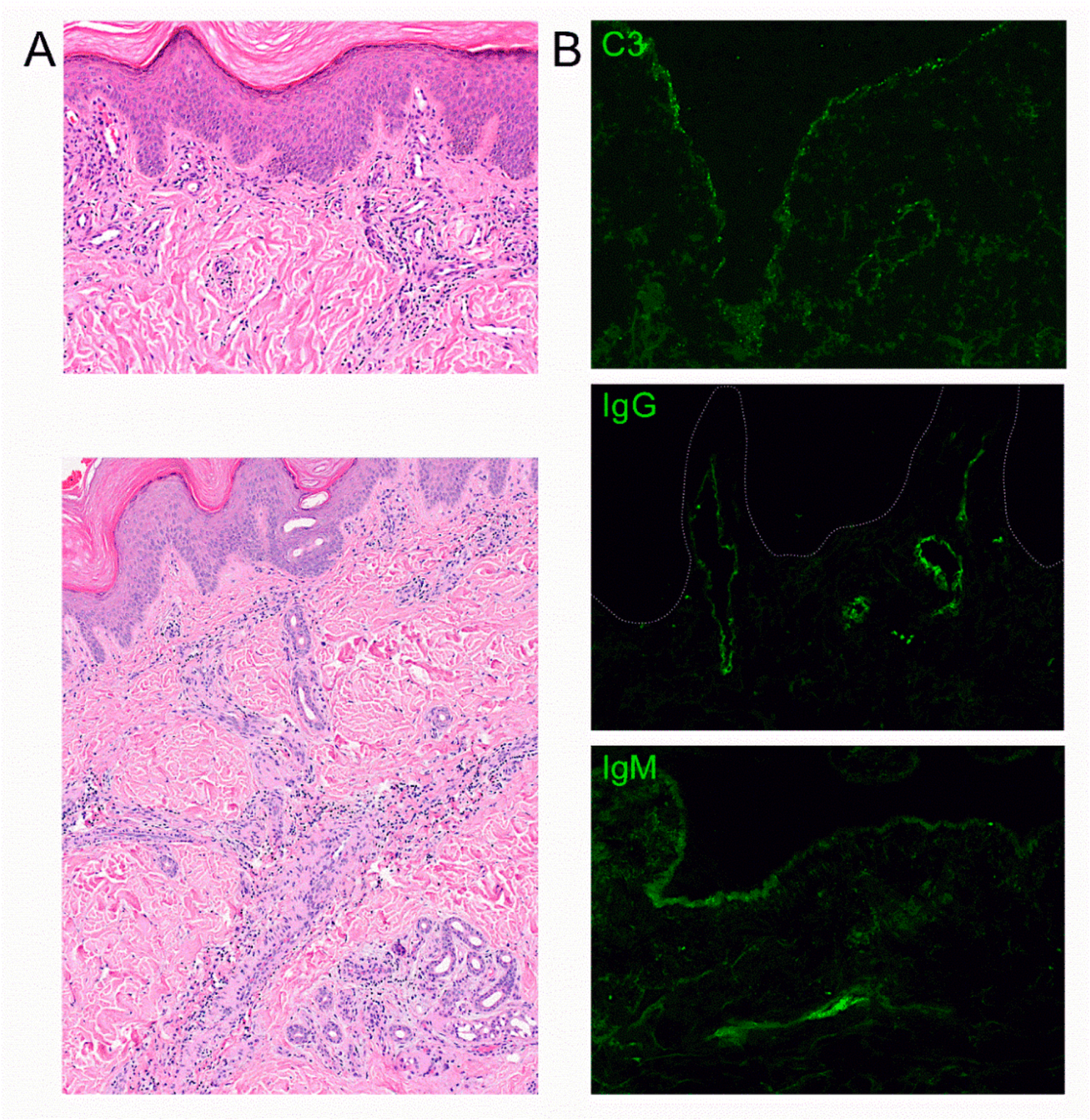 Dermatopathology 07 00010 g002 Dermatopathology 07 00010 g002