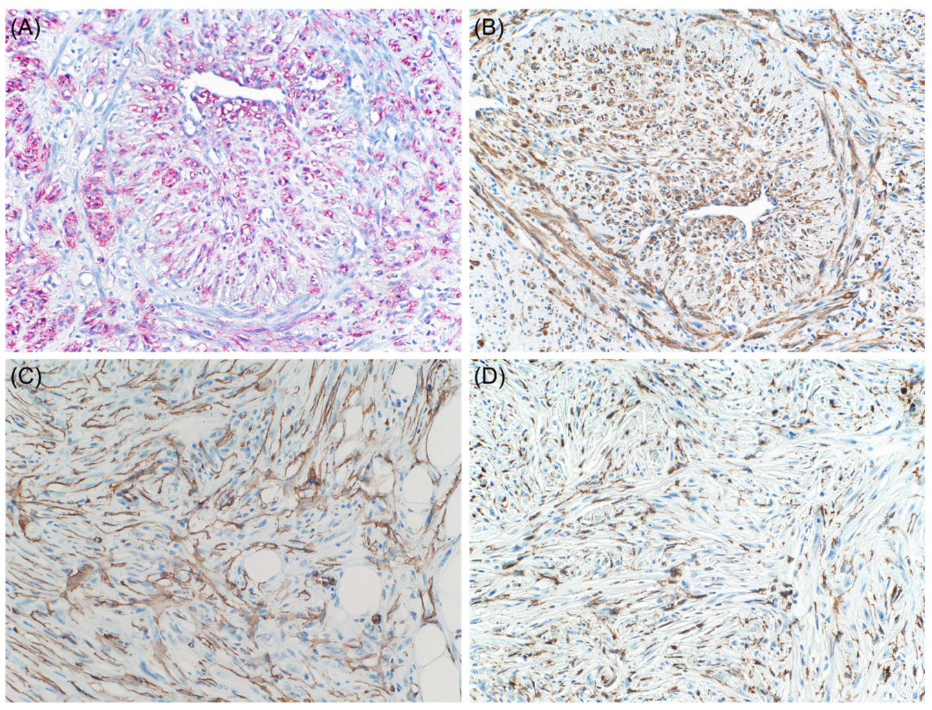 Dermatopathology 08 00040 g003