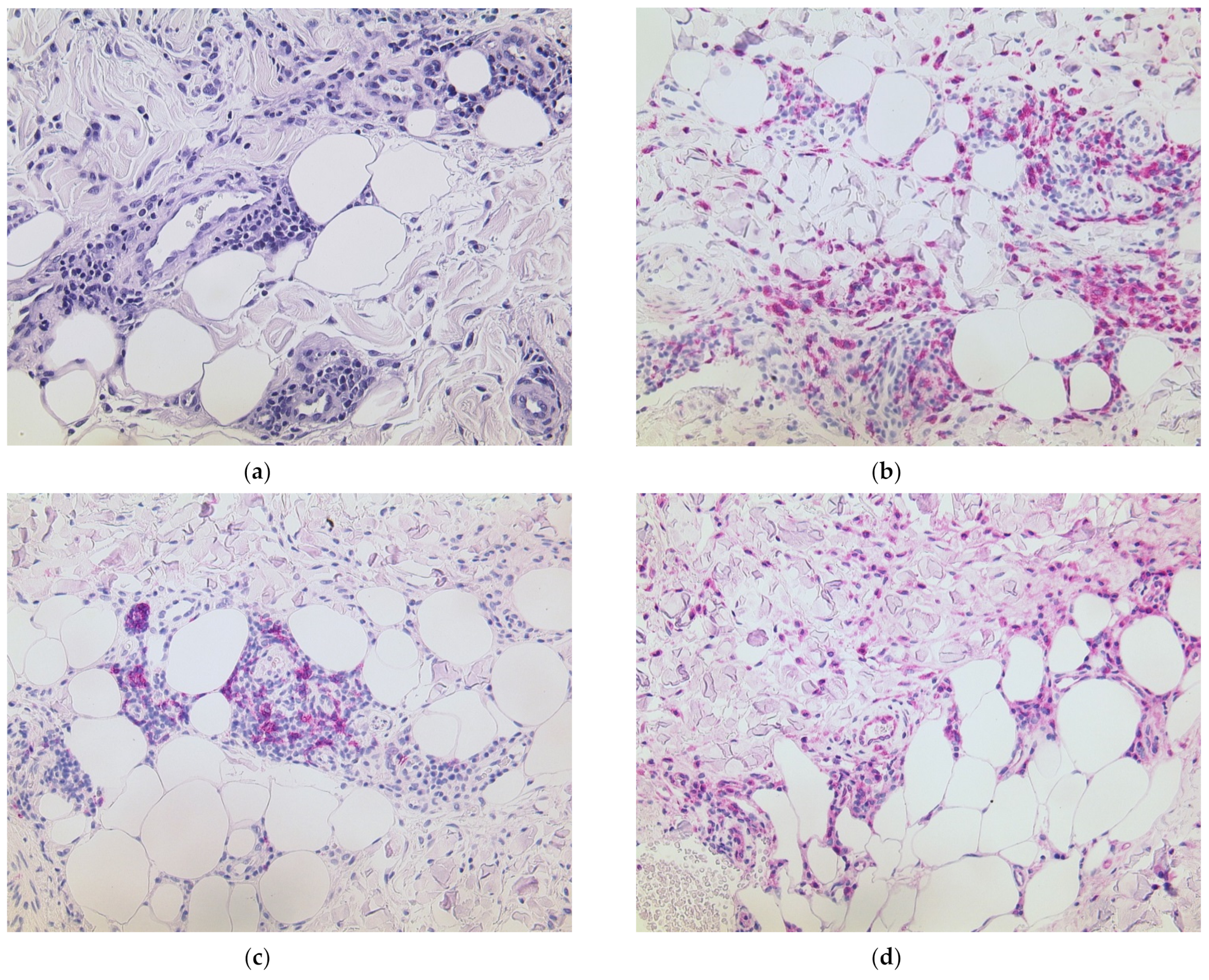 Dermatopathology 08 00049 g002
