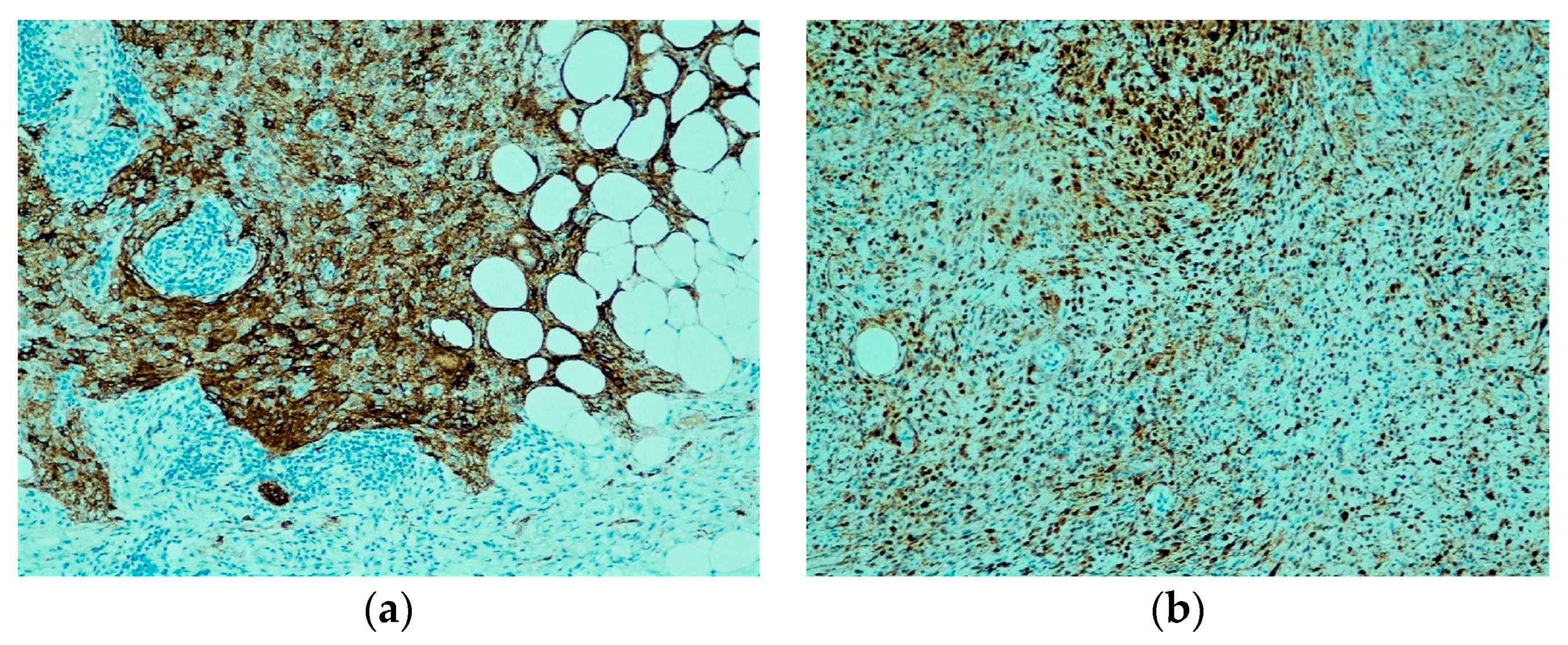 Dermatopathology 10 00030 g002 Dermatopathology 10 00030 g002