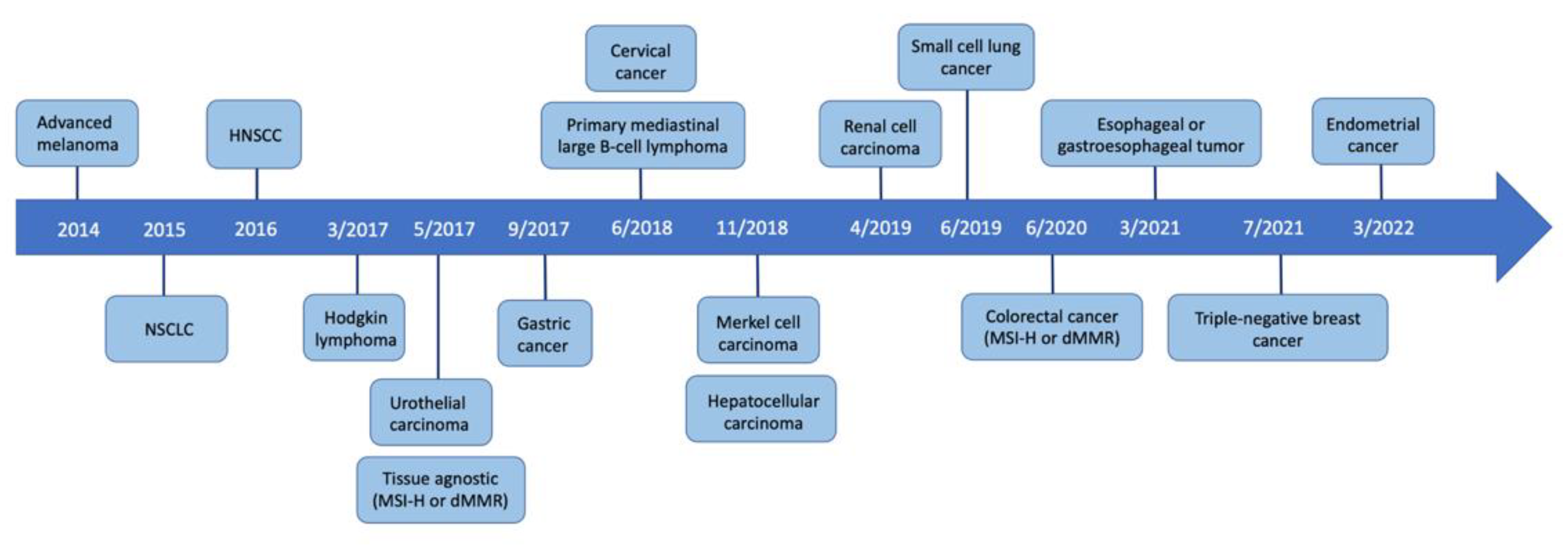Dermatopathology 10 00033 g003 Dermatopathology 10 00033 g003