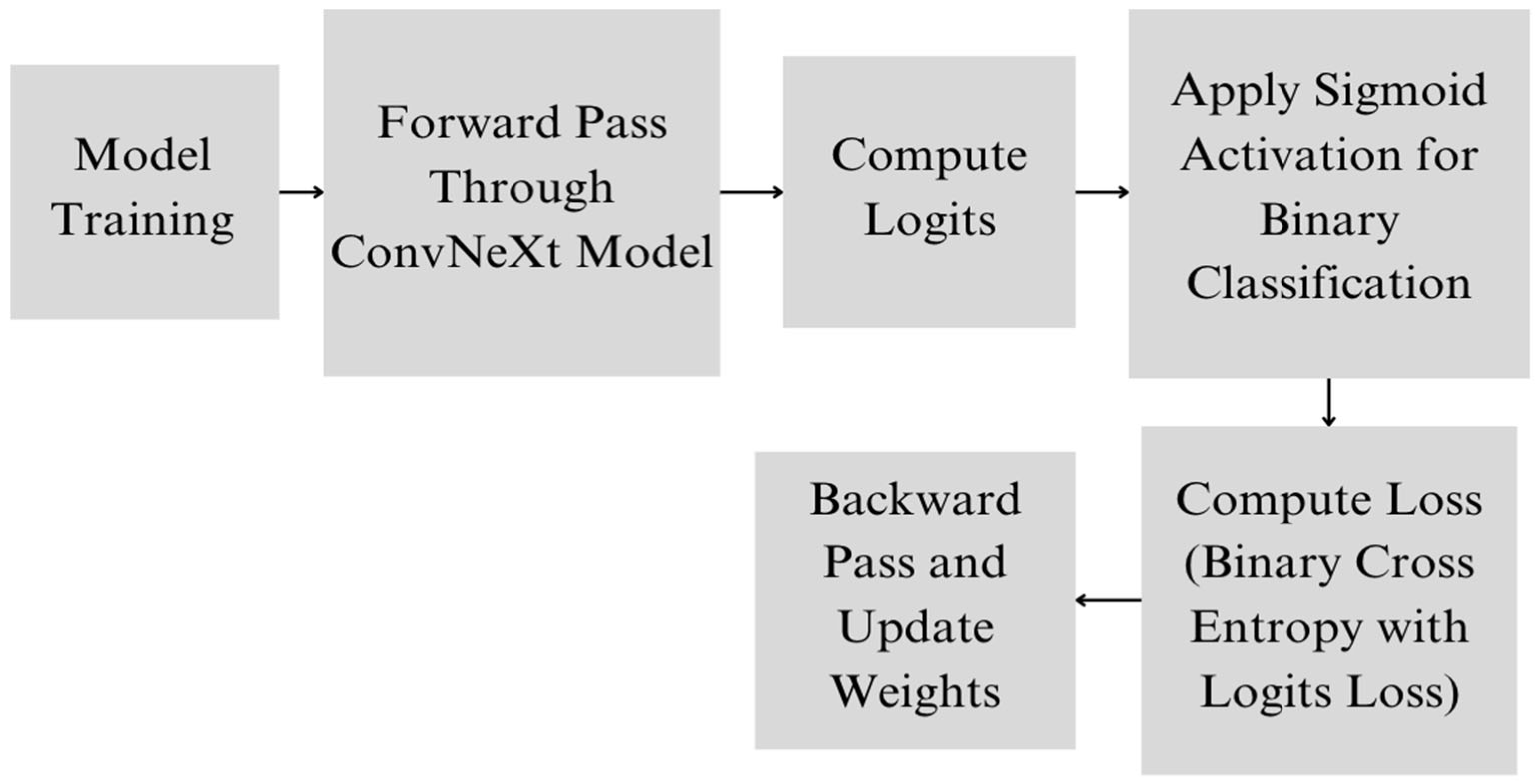 Dermatopathology 11 00026 g001