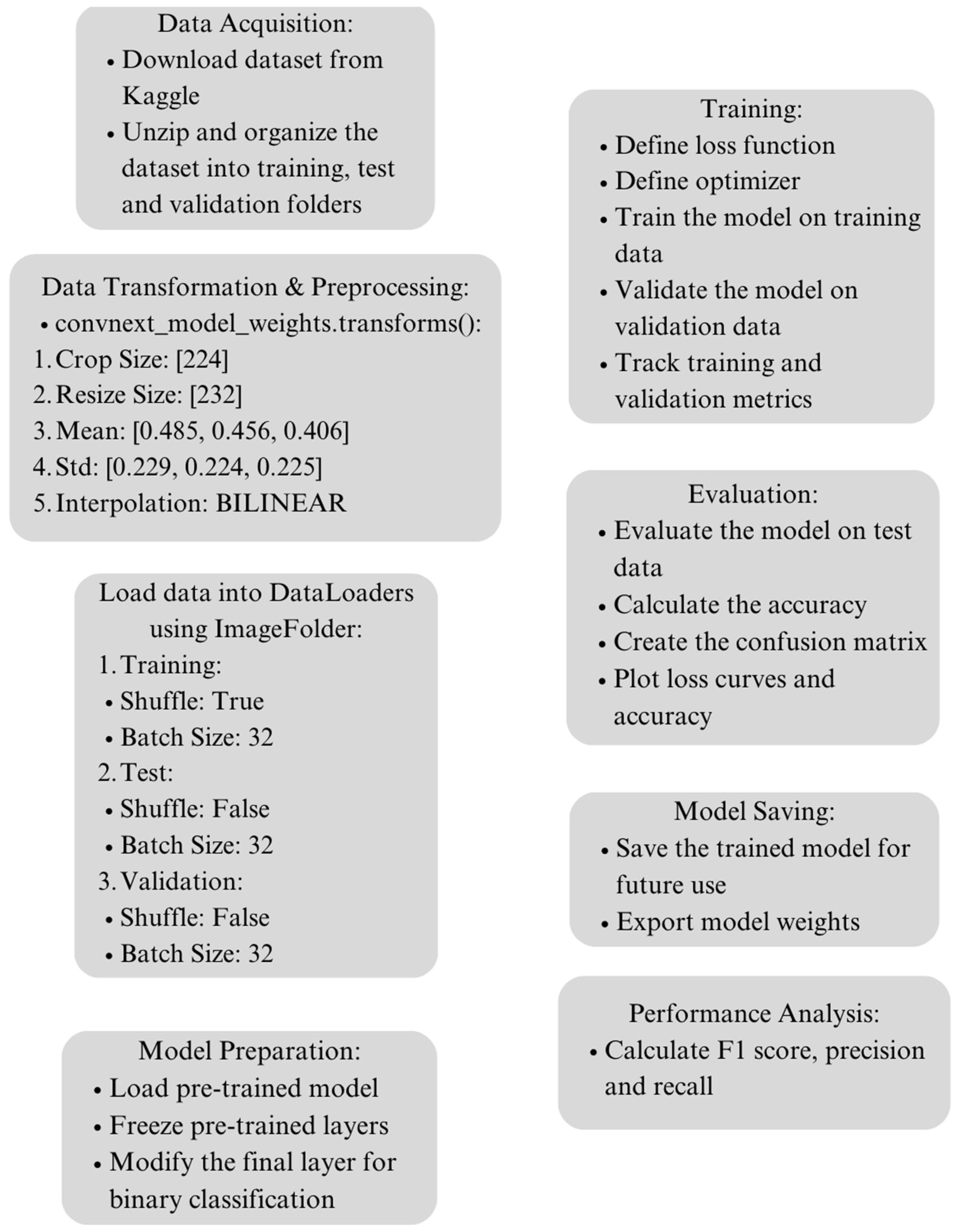 Dermatopathology 11 00026 g003