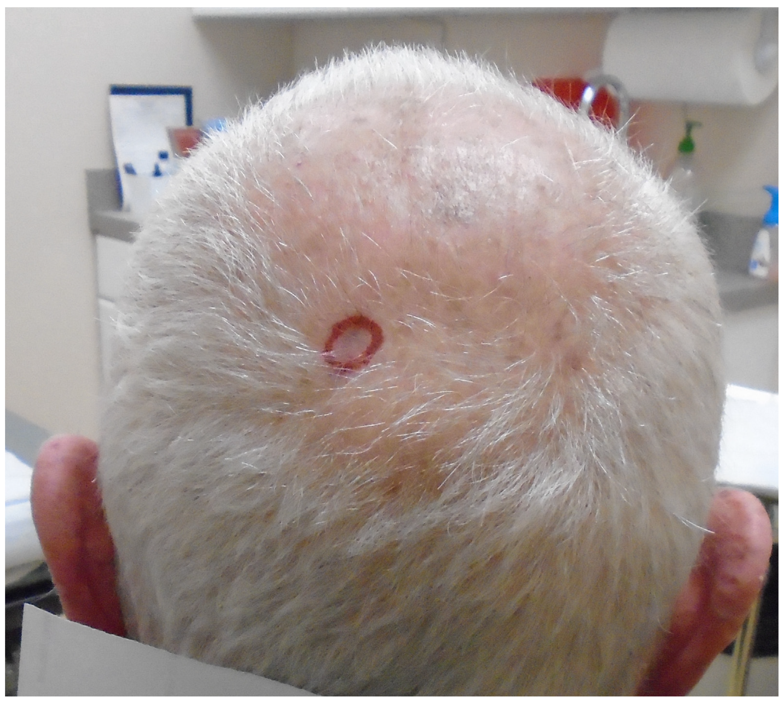 Dermatopathology 12 00004 g001