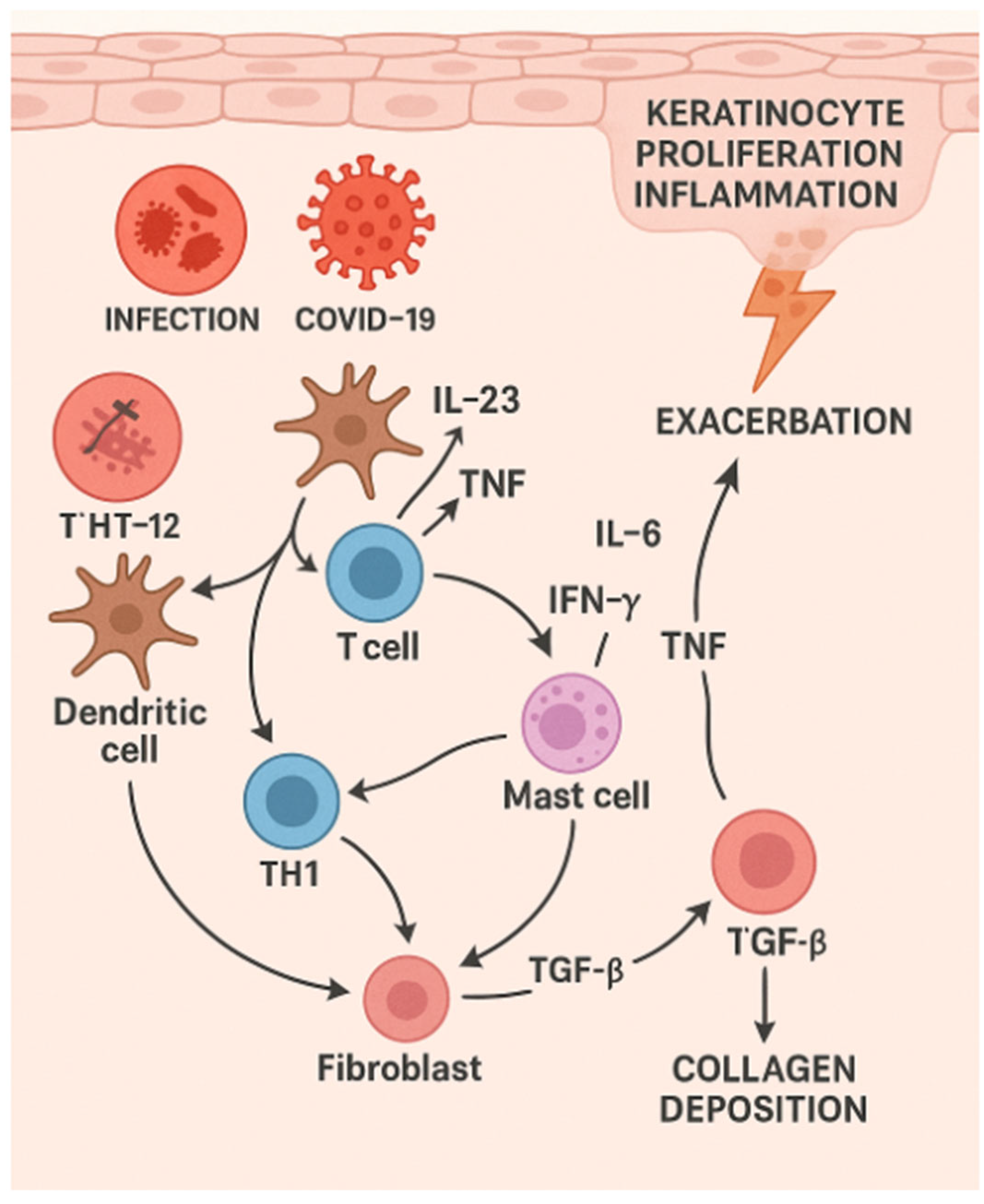 Dermatopathology 12 00017 g006