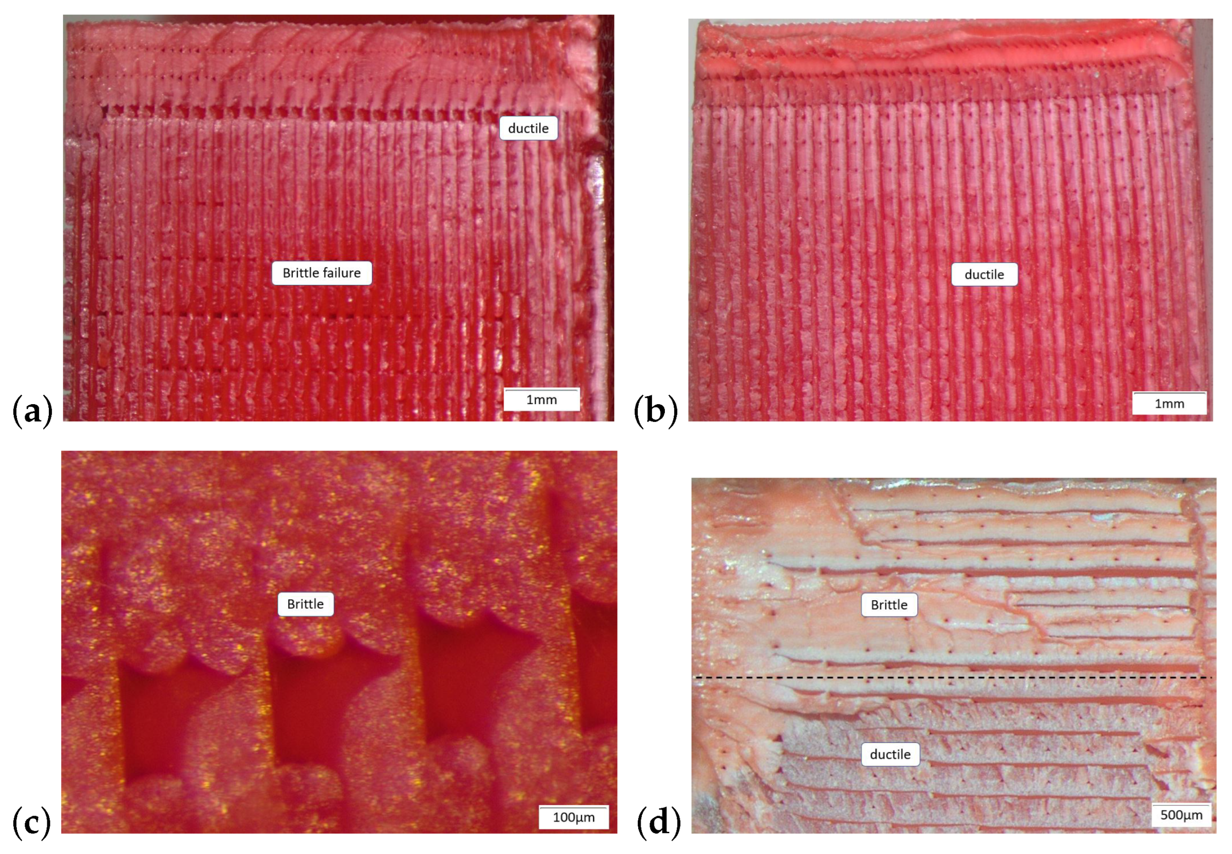 Designs 08 00007 g008